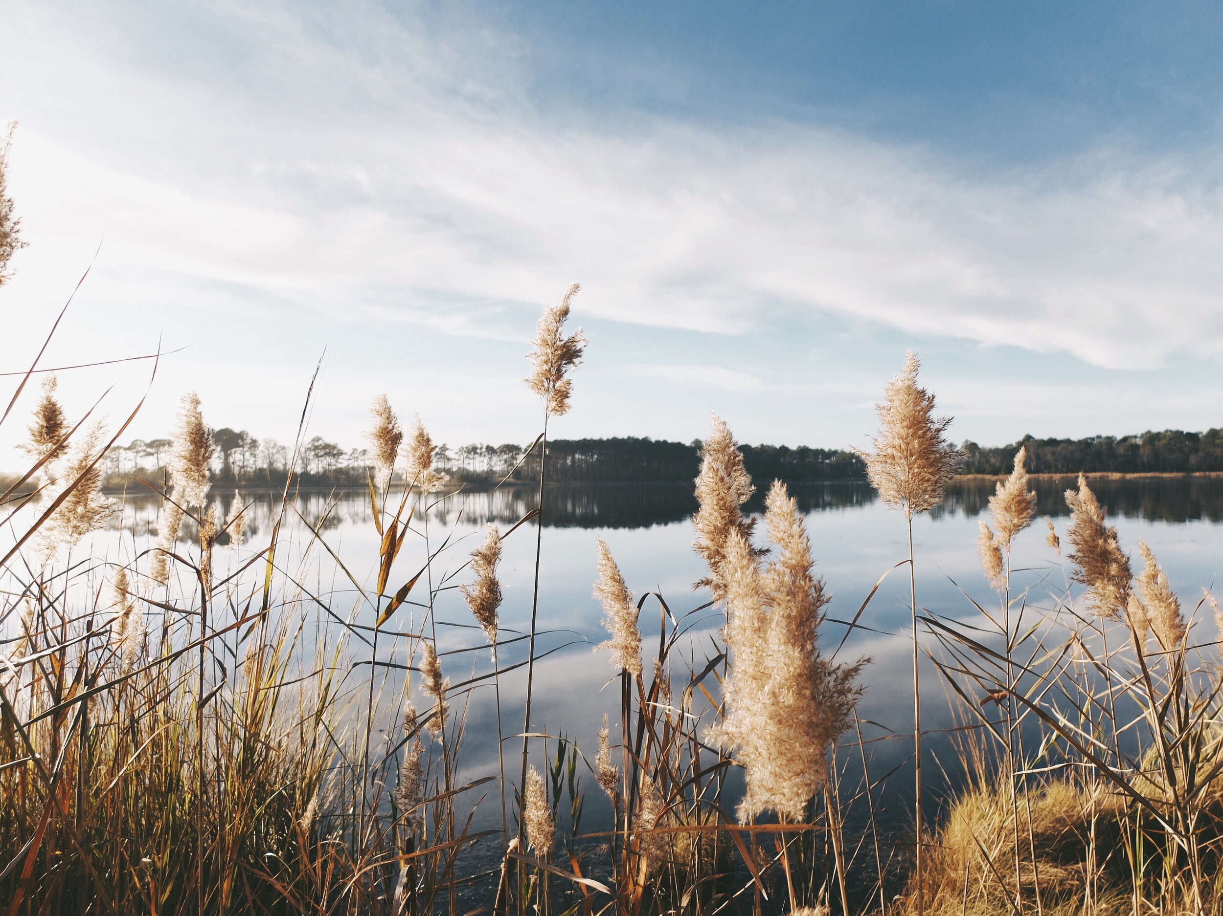   Specialized mental health support for the Neurodivergent community     LEARN MORE   