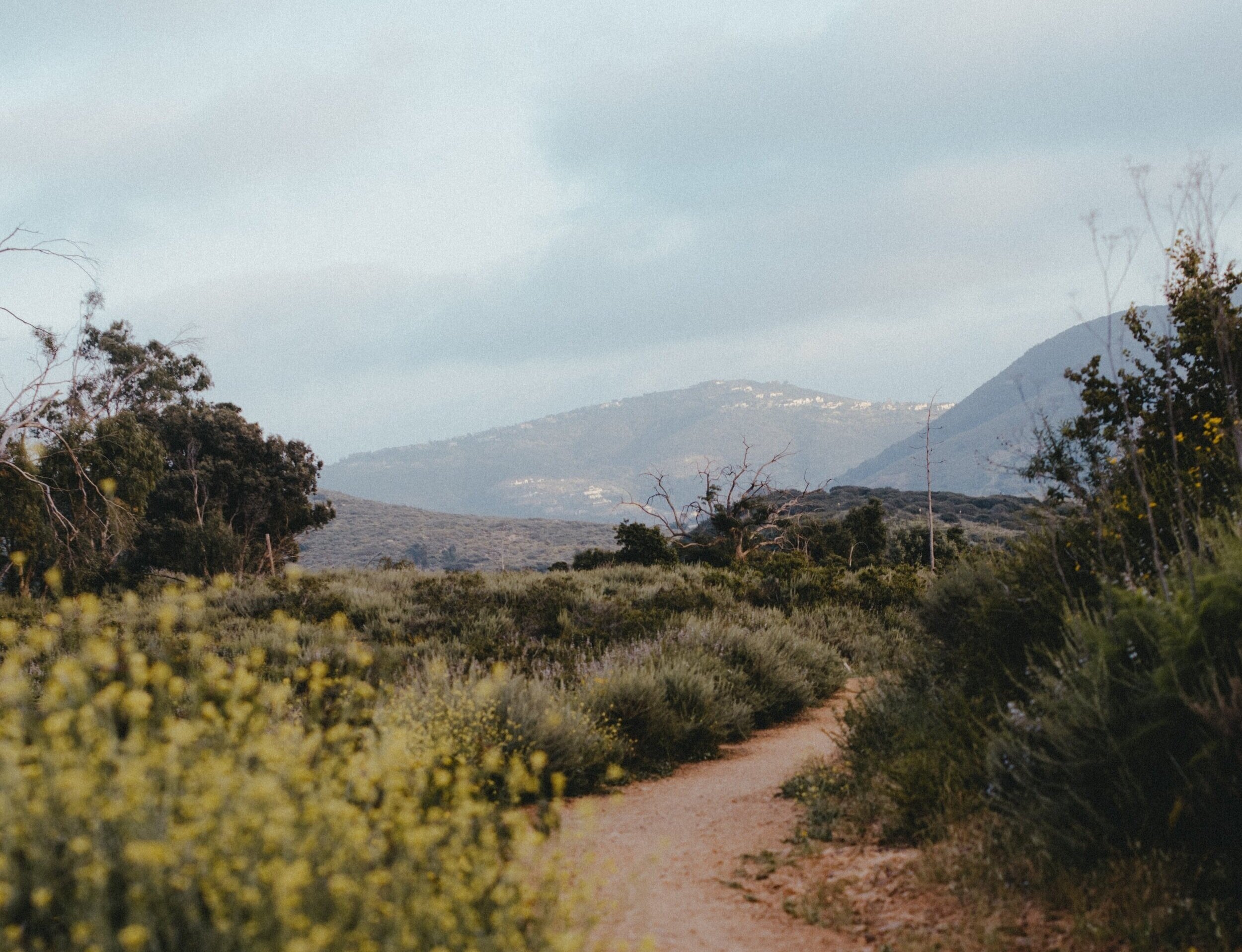 aubrey-rose-odom-kmqfEk0qzjE-unsplash.jpg