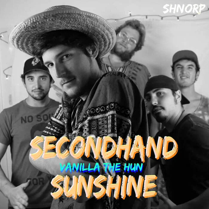 secondhand sunshine.jpg