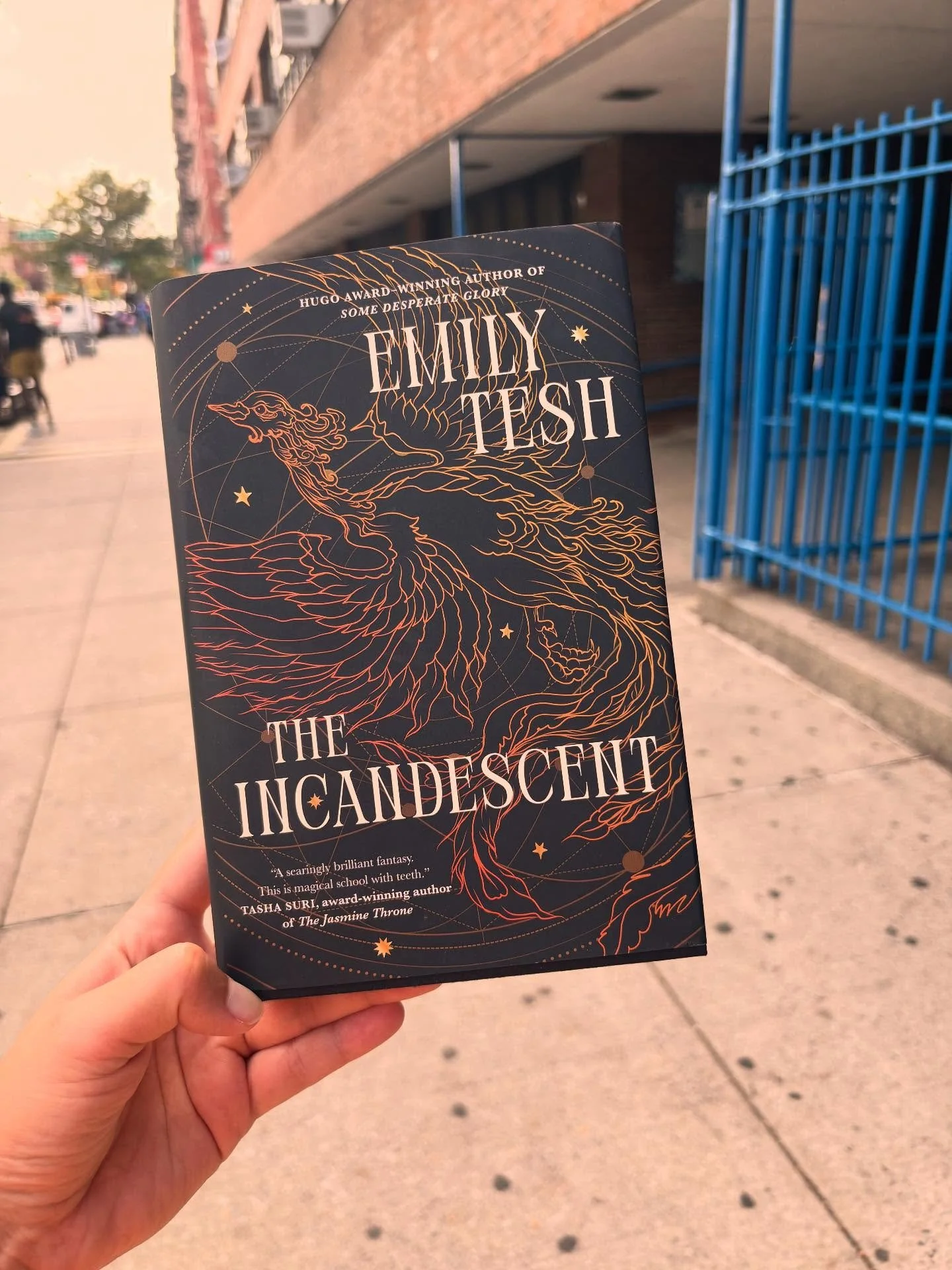 I loved Emily Tesh&rsquo;s boarding school romance X Dark Academia X demons novel &ldquo;The Incandescent&rdquo; a lot. It&rsquo;s such a beautiful homage to teaching, learning, and collaboration as well as the weird, always a bit dark, cozy, confusi