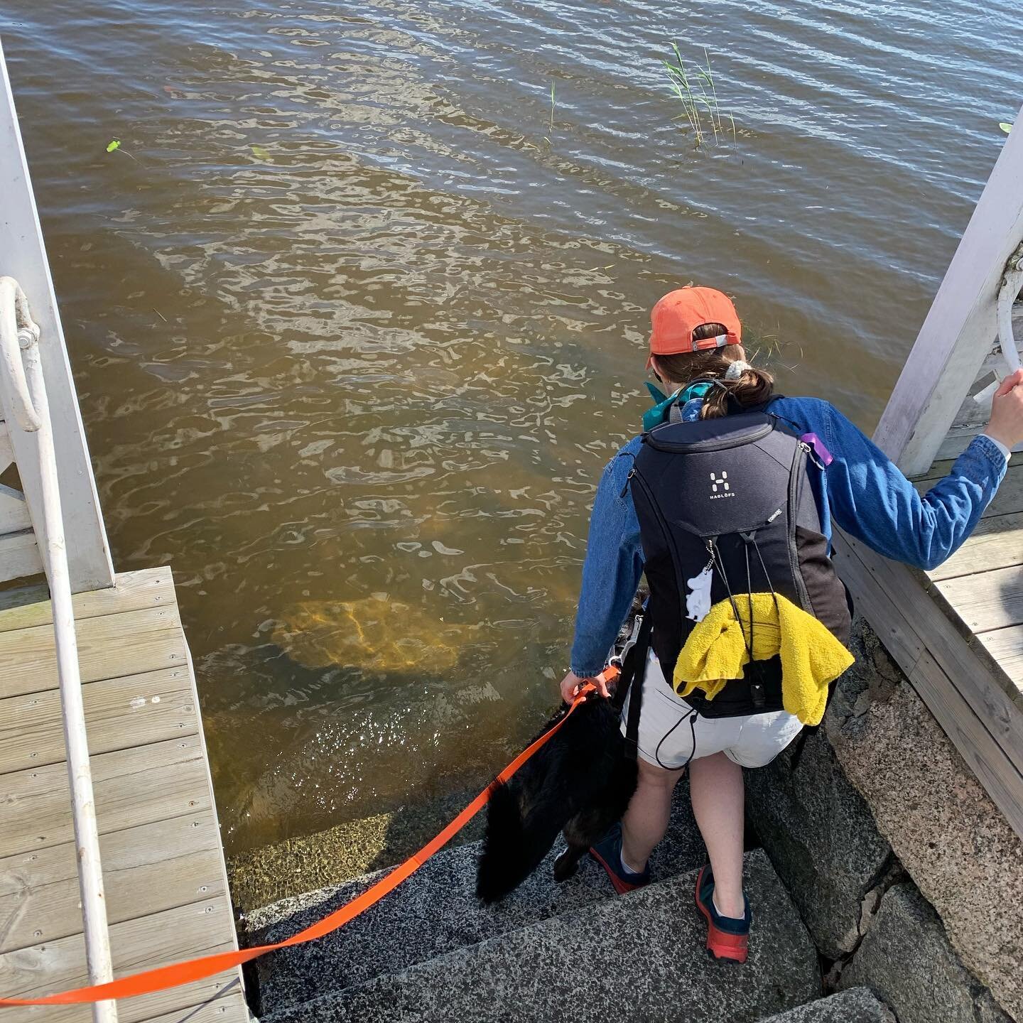 Now that the summer is here to stay, I would like to remind all of us to not push our dogs beyond what they&rsquo;re comfortable with in terms of swimming. Lots of dogs love swimming!😀 But there&rsquo;s also many dogs who are a bit afraid of the wat