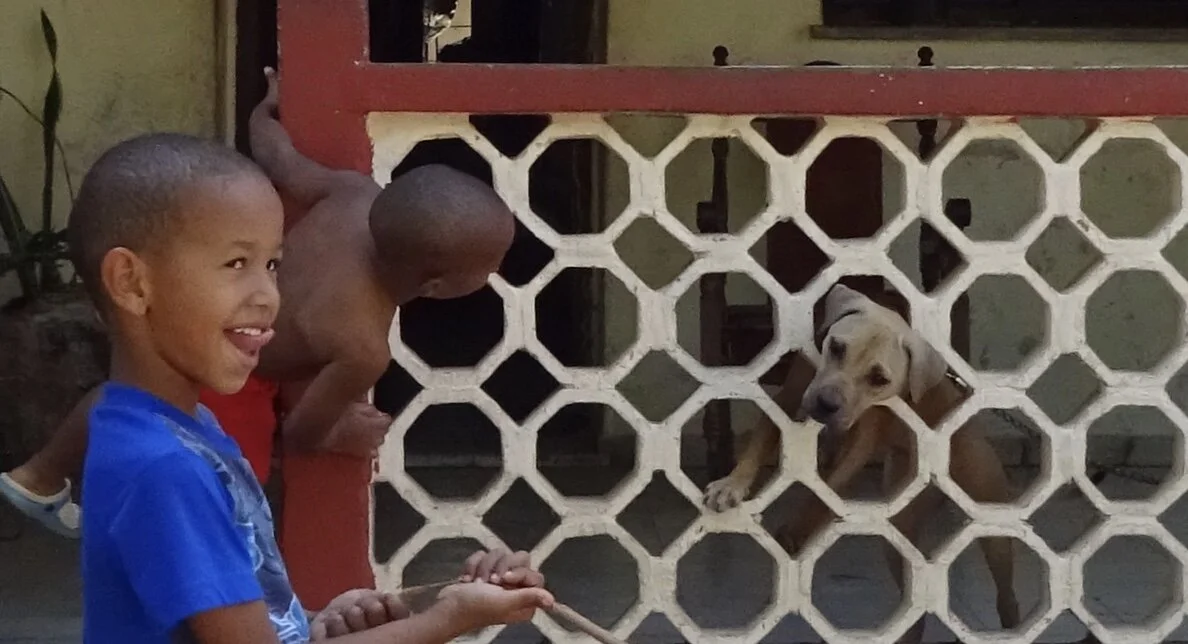 Boys and Dog el vedado longjpeg.jpeg