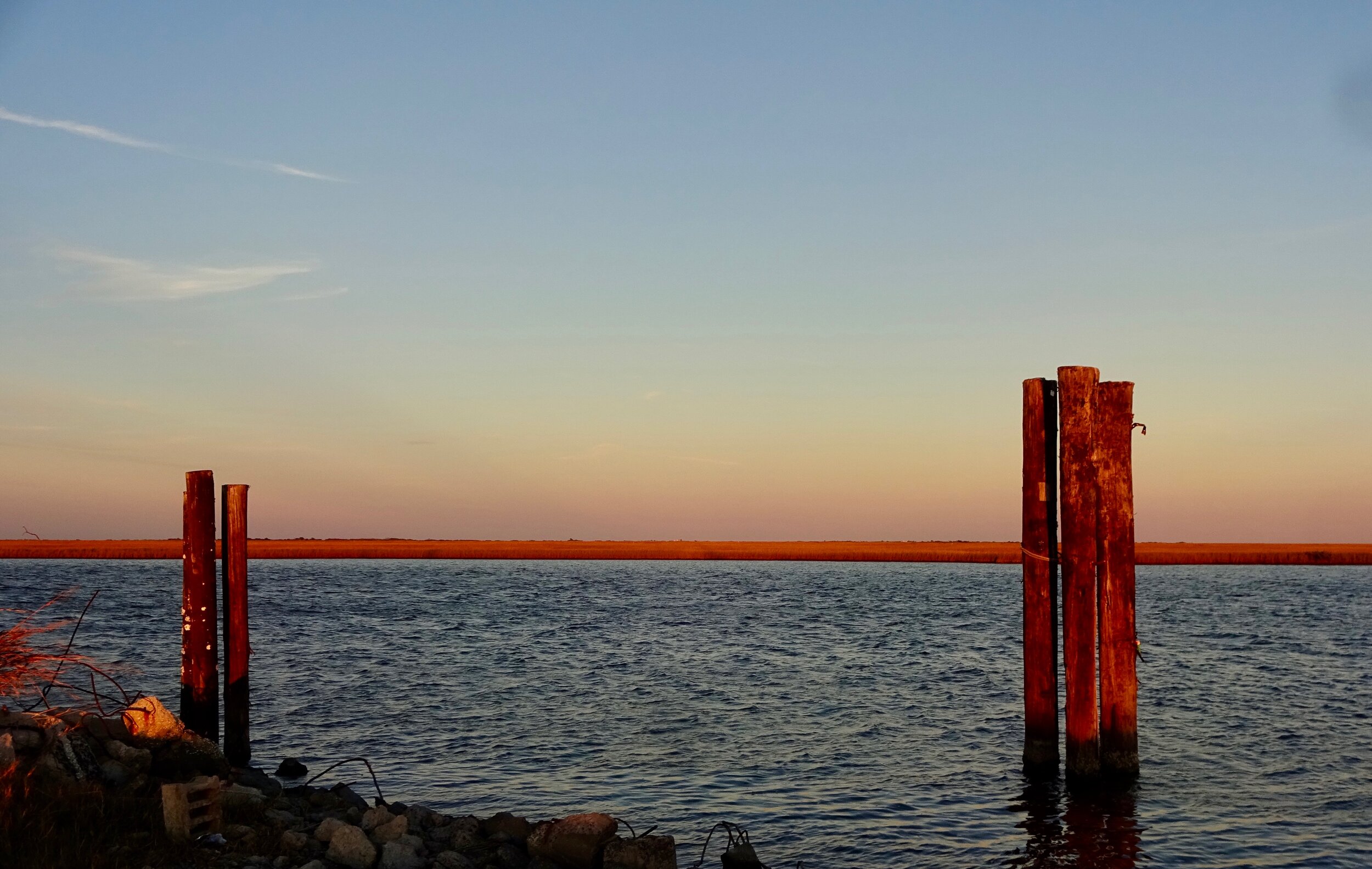 near-lake-jesse-louisiana_49479840041_o.jpg