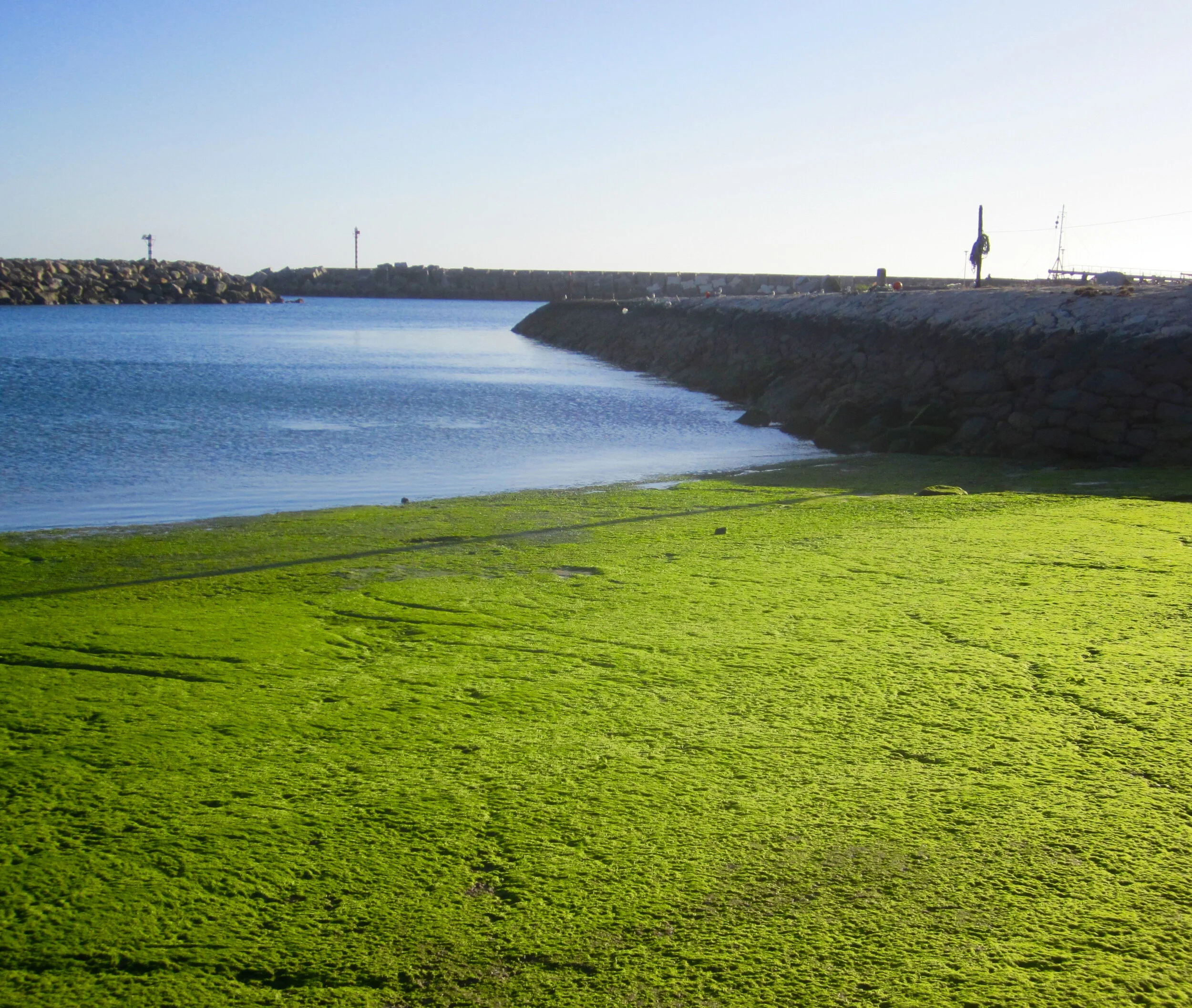 boat-ramp-in-praia-de-ancora-portugal_49479433031_o.jpg