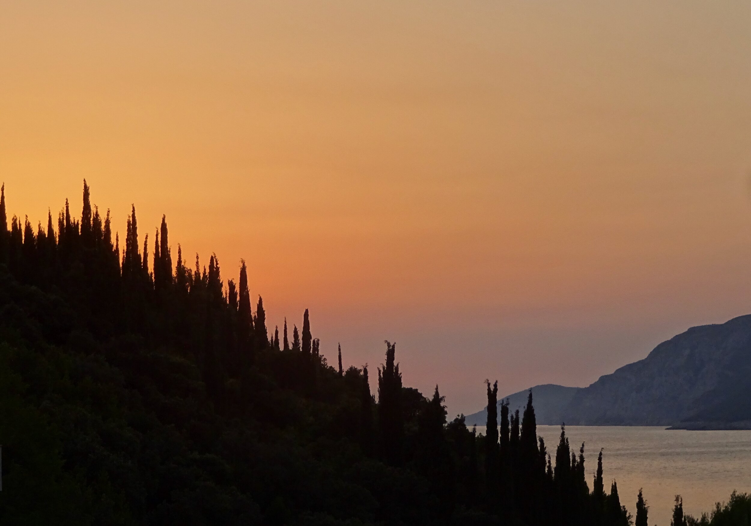 Cypress Sunset Molunat Croatia.jpeg