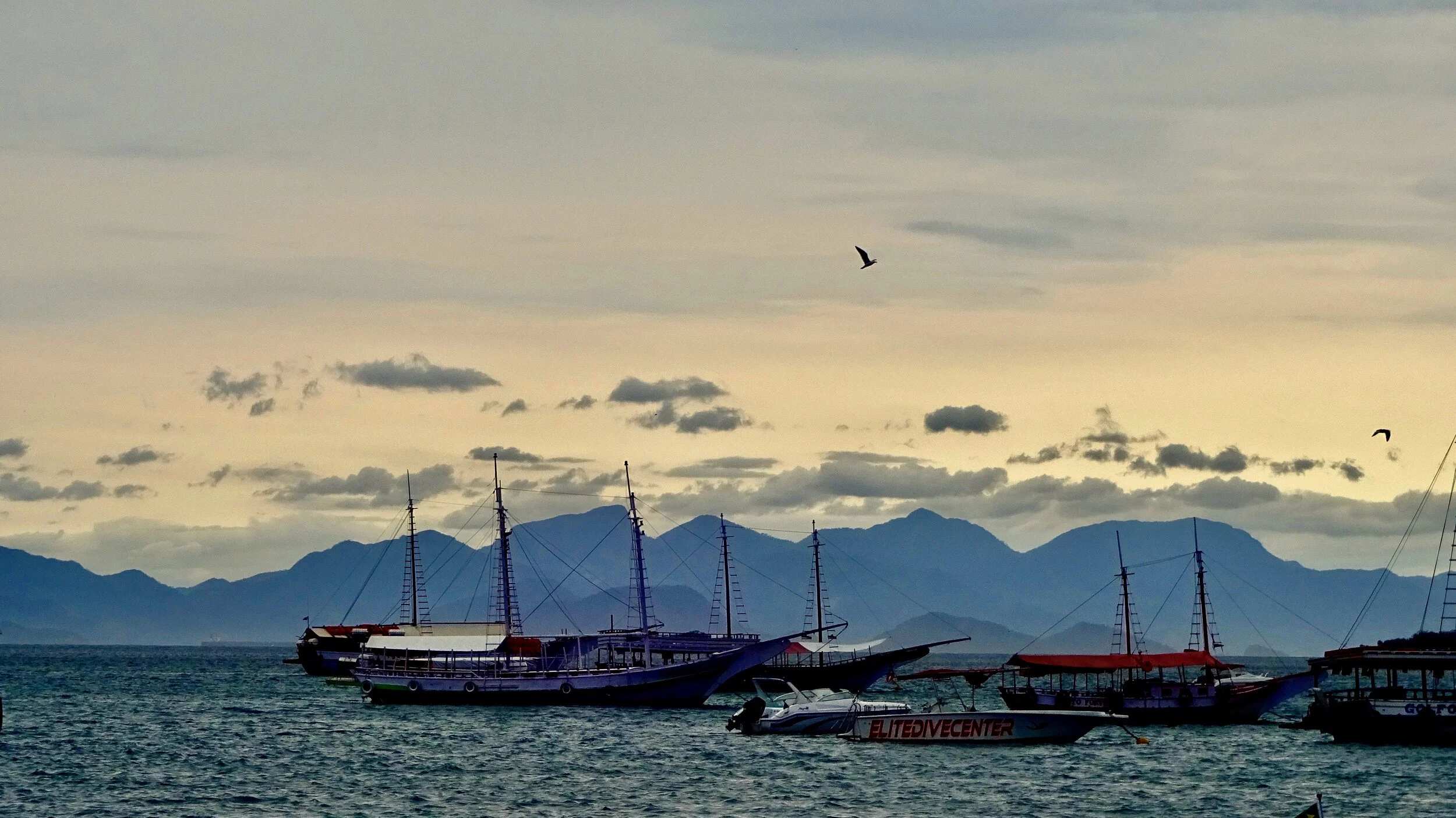 Fleet at Ilha Grande.jpeg