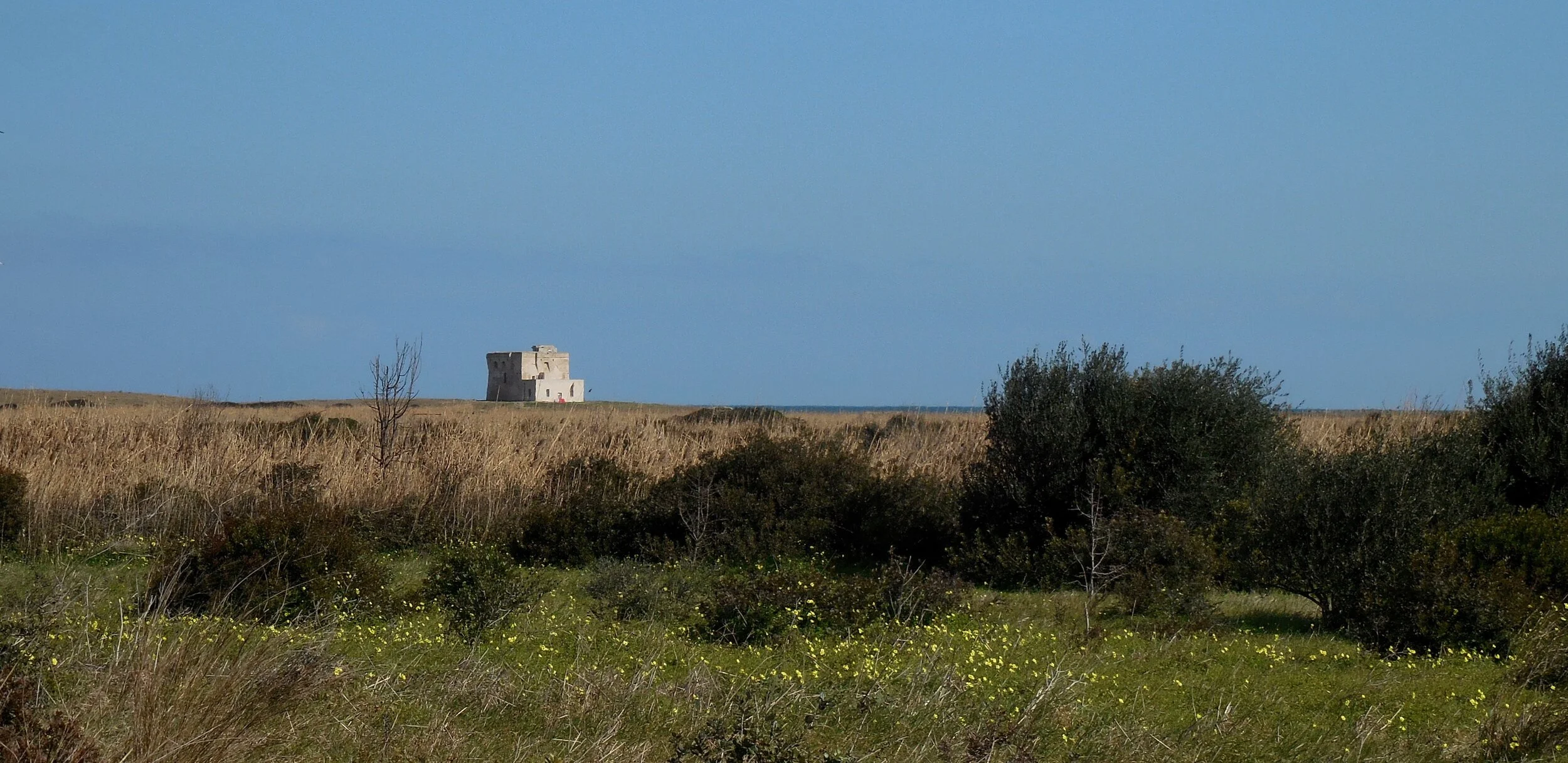 Castle house on Apulian shore tight.jpeg