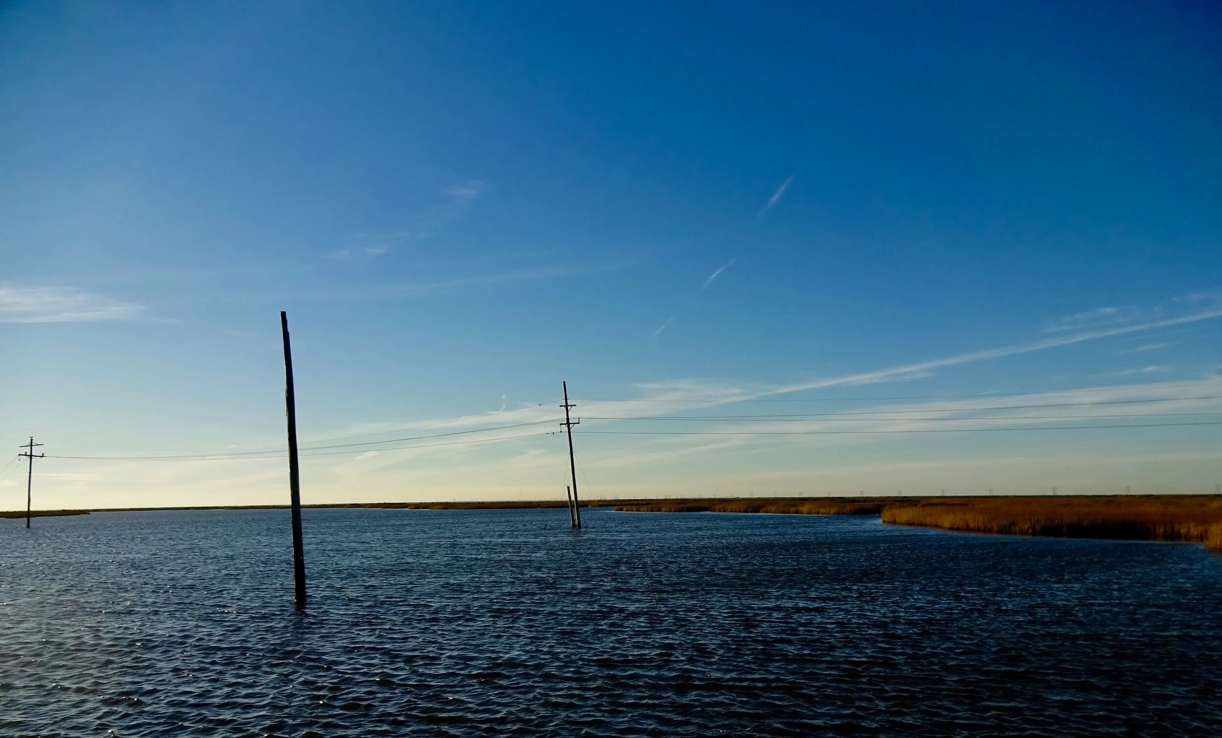 DSC03907.jpg