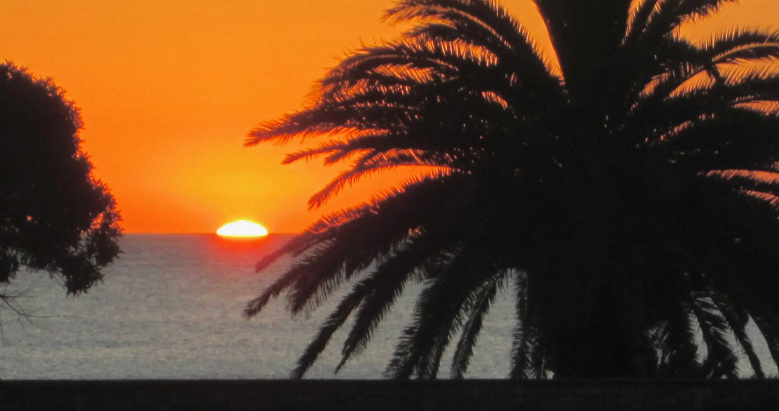 Sunset between palms on Plata .jpeg