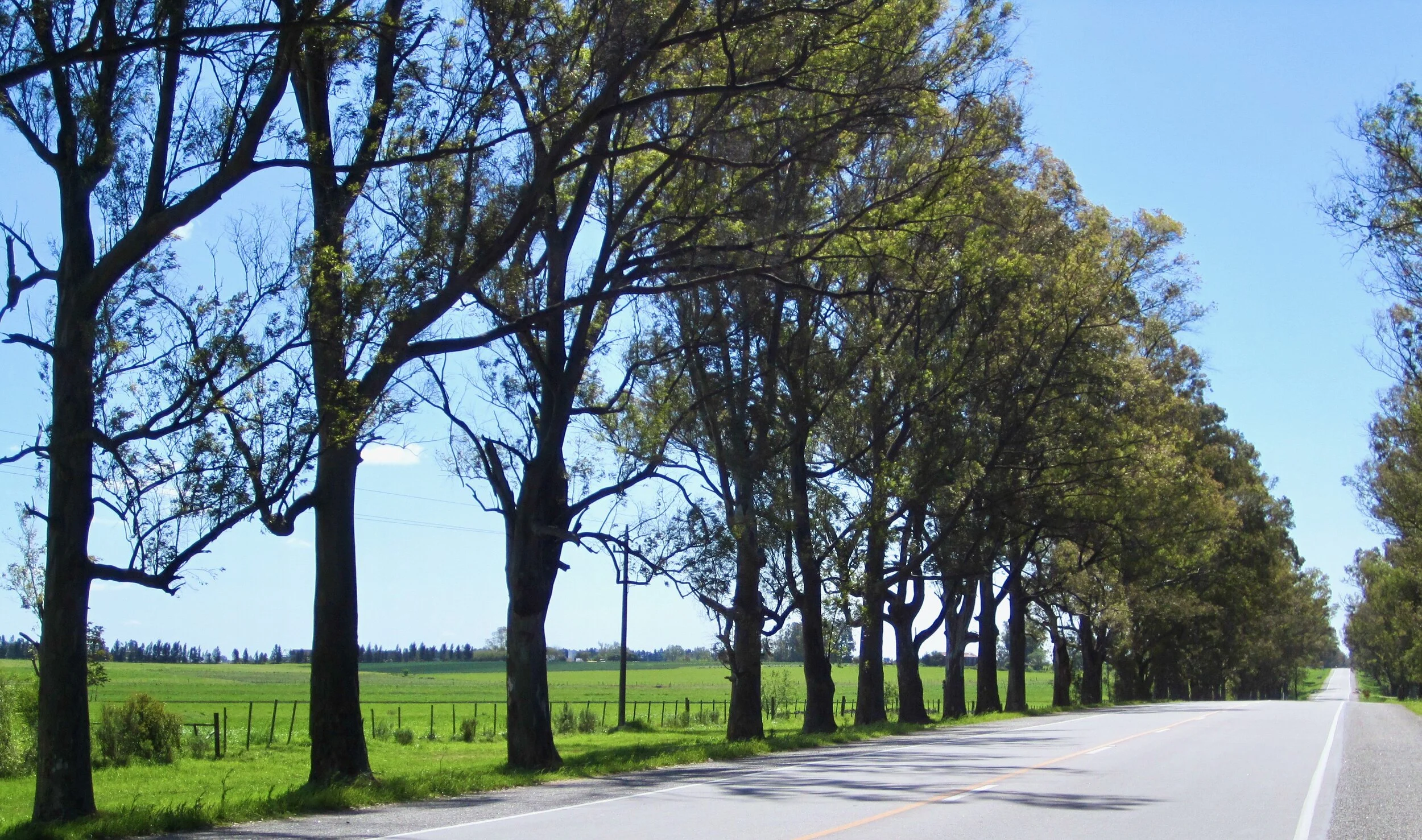 Ruta 11 cerca de canelones.jpeg