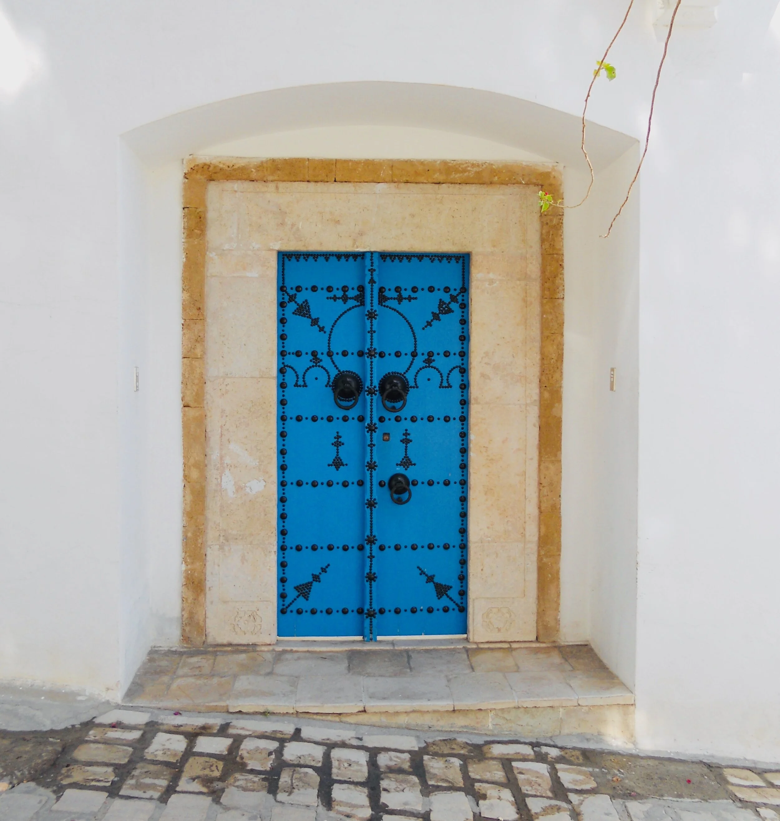 Door in Sidi Bou Said.jpeg