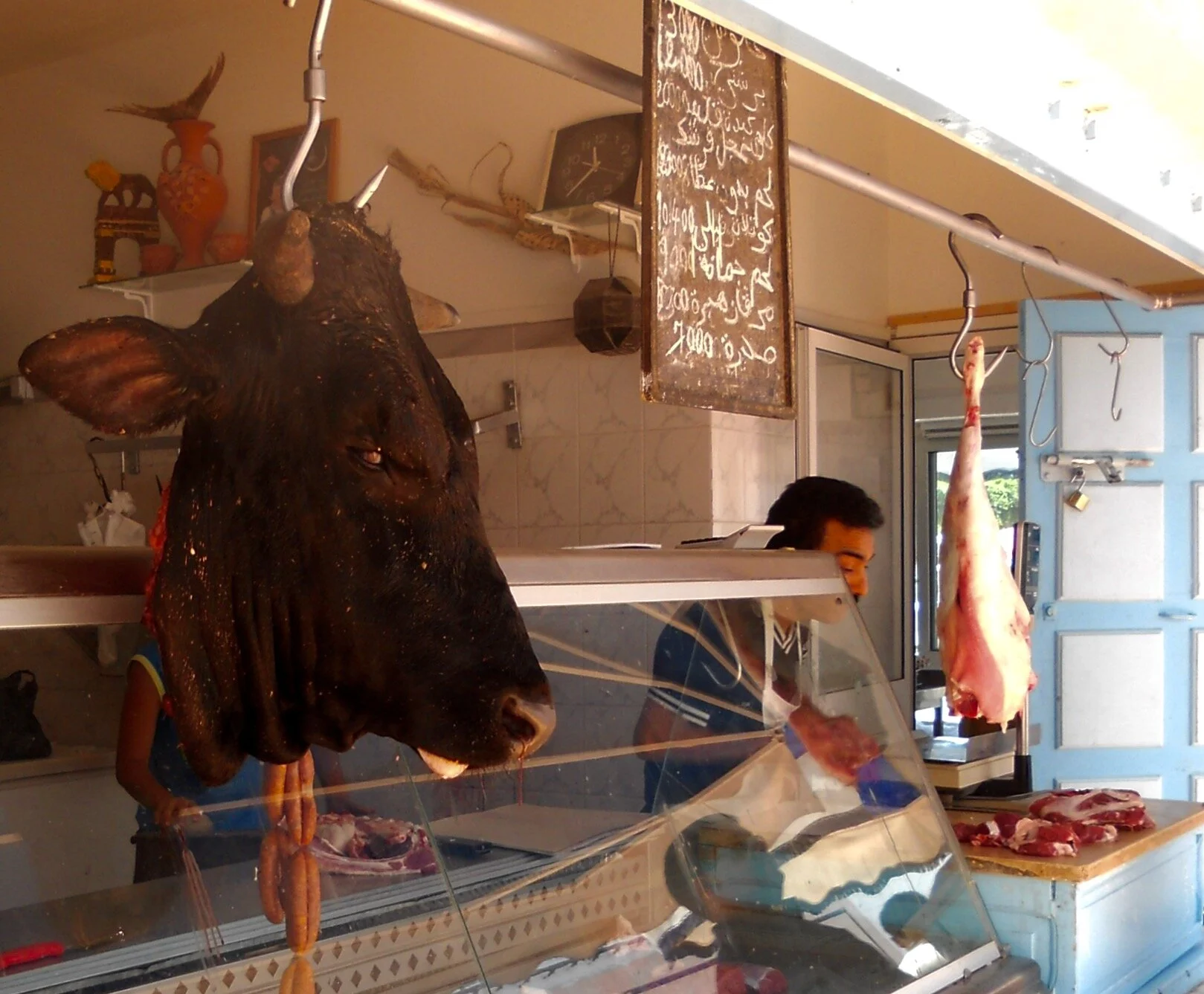 Bull's head in Mahdia.jpeg