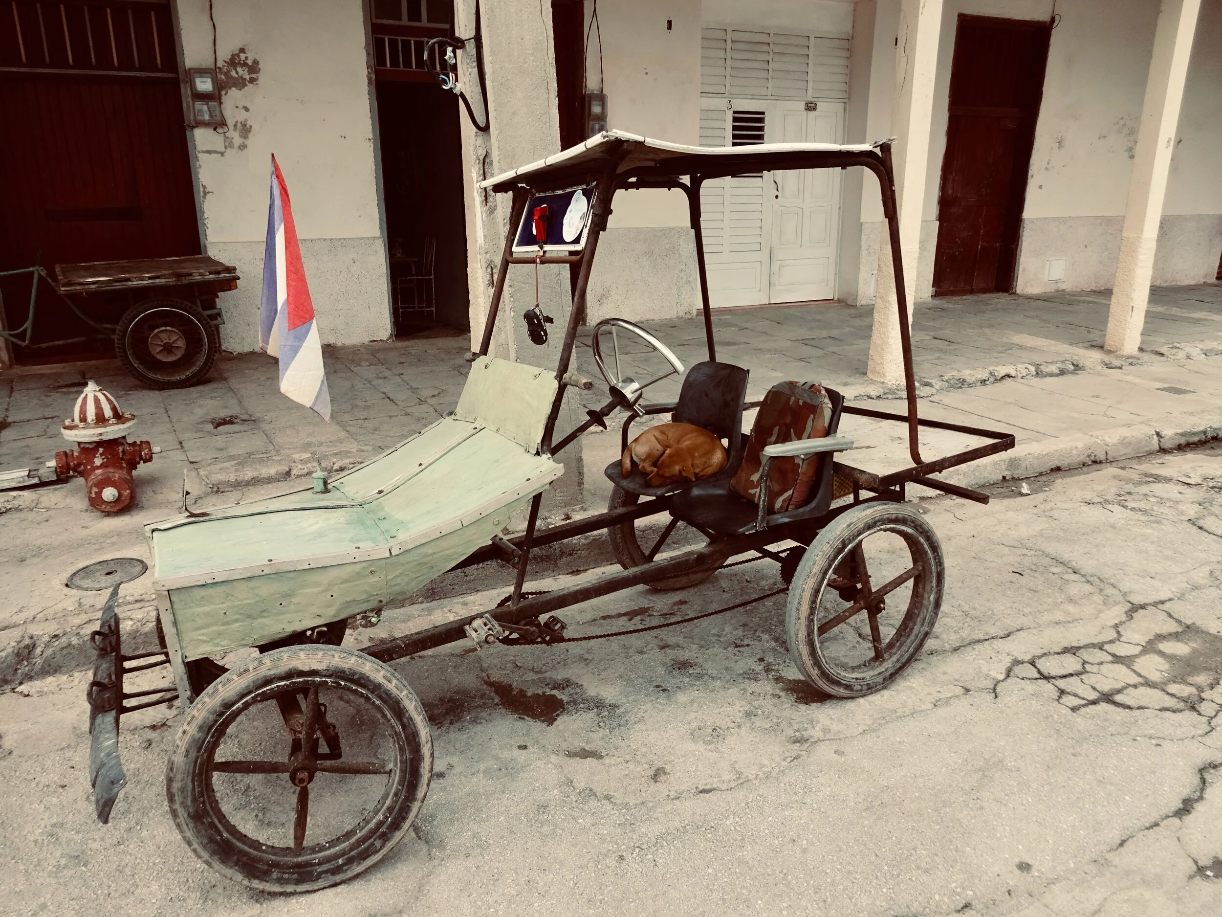 Sleeping dog in Gibara.jpeg