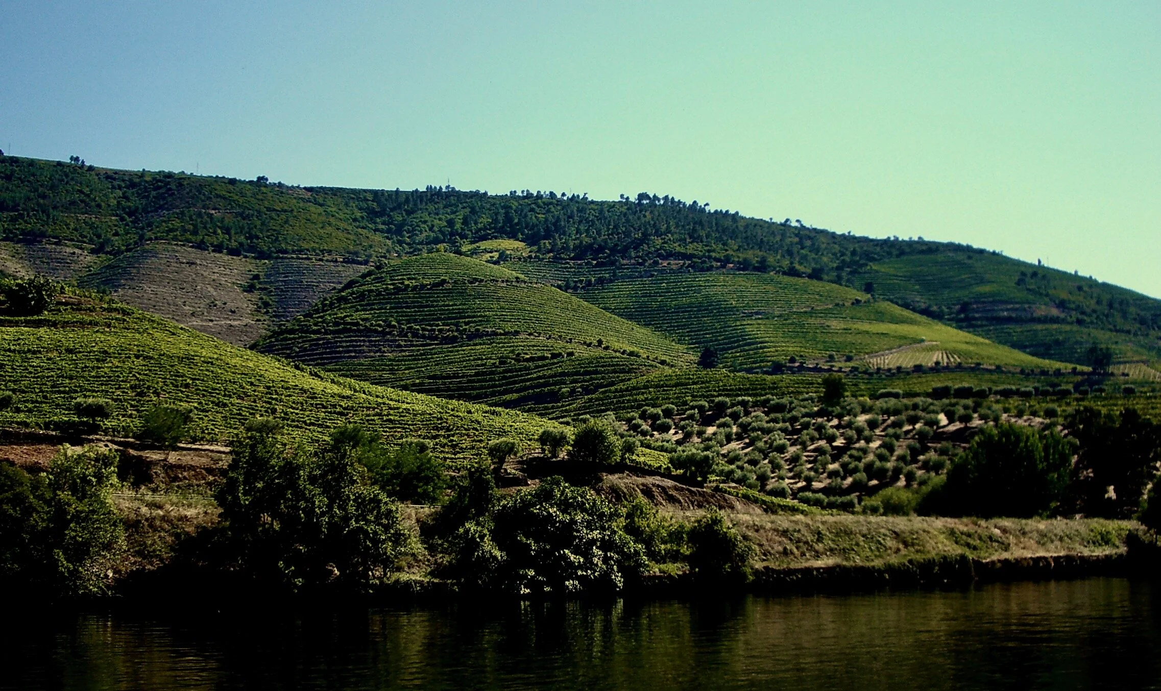 the banks  of the Douro .jpeg