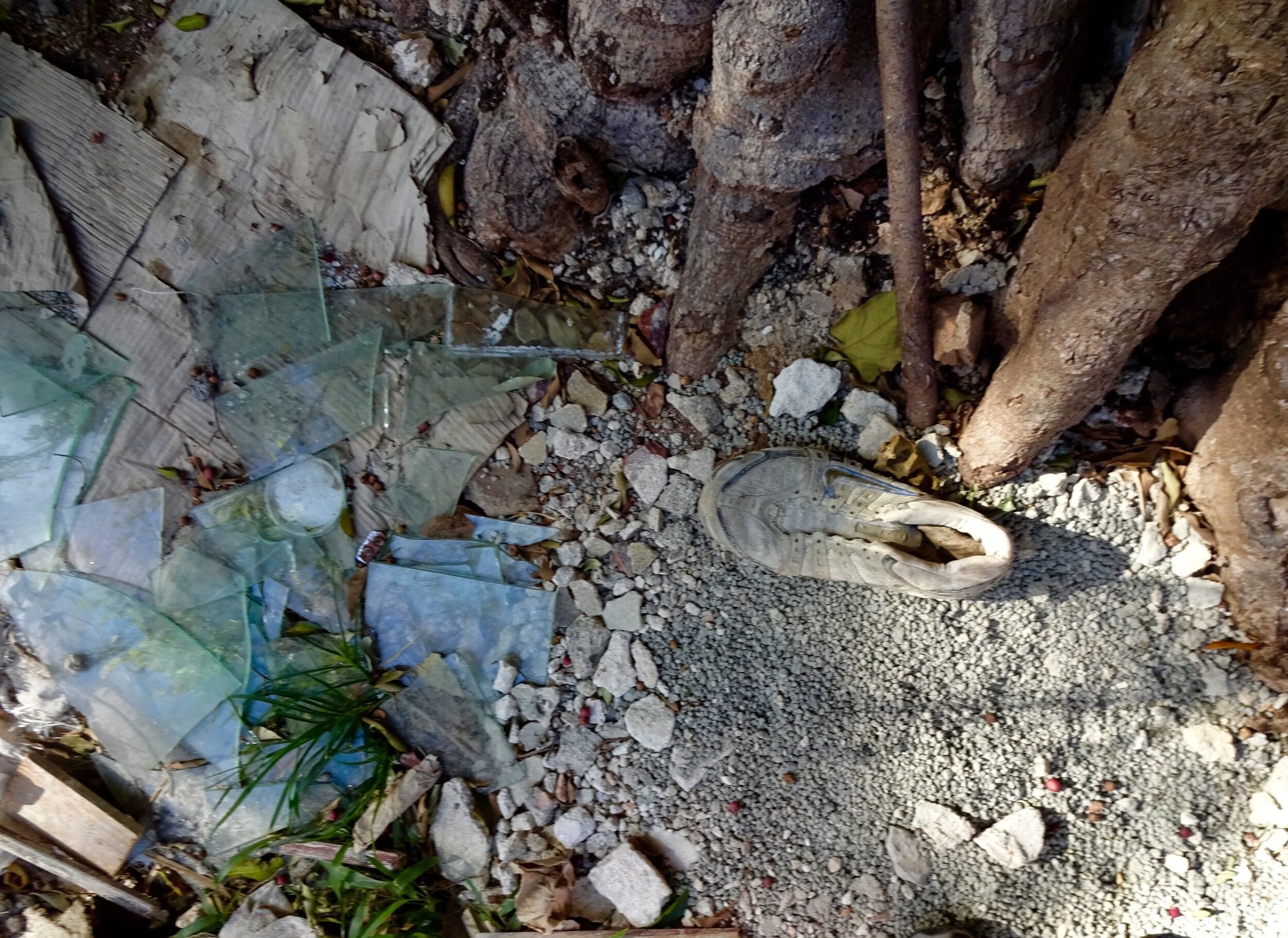 After pissing on the roots of the Banyan tree.jpg