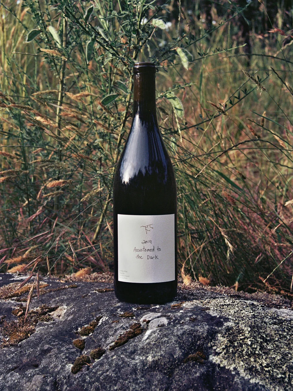 Ursa Major Accustomed To The Dark 2019 — Ursa Major Wines