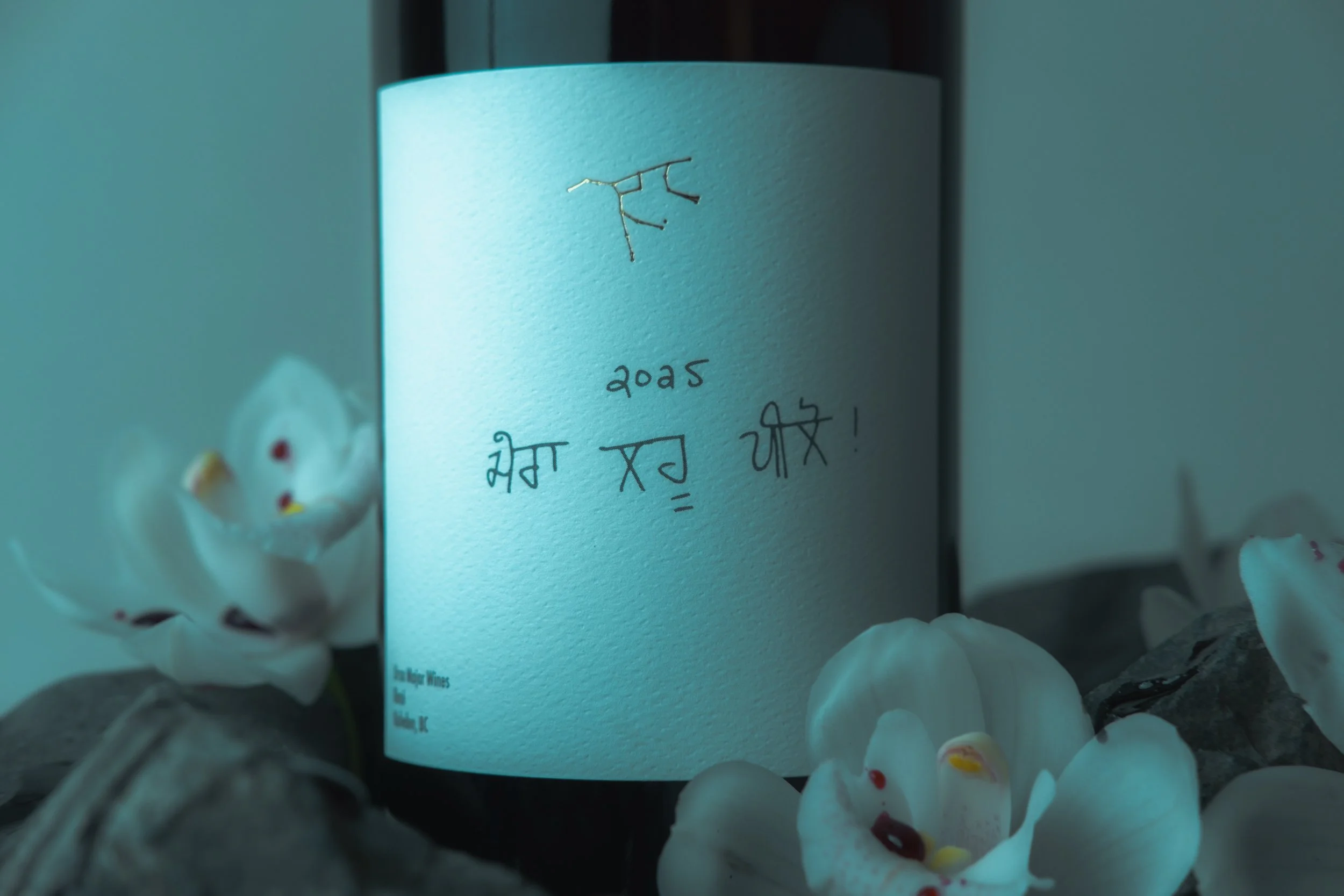 20260211Ursa Major Bottles_Drink My Blood_Vancouver_001-46.jpg