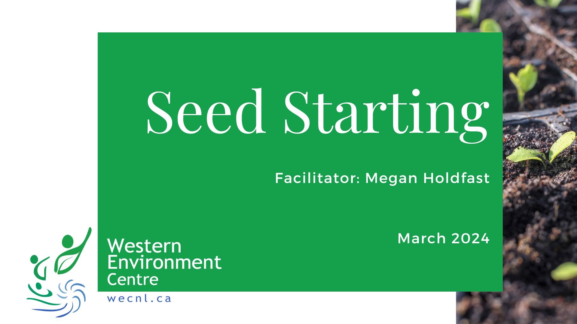 Have you checked out our Online Member's Portal yet? WEC members can now watch 15+ workshop videos including the Seed Starting workshop we offered just a few weeks ago 🌱

 Membership is $15. Become part of a group of citizens committed to creating a