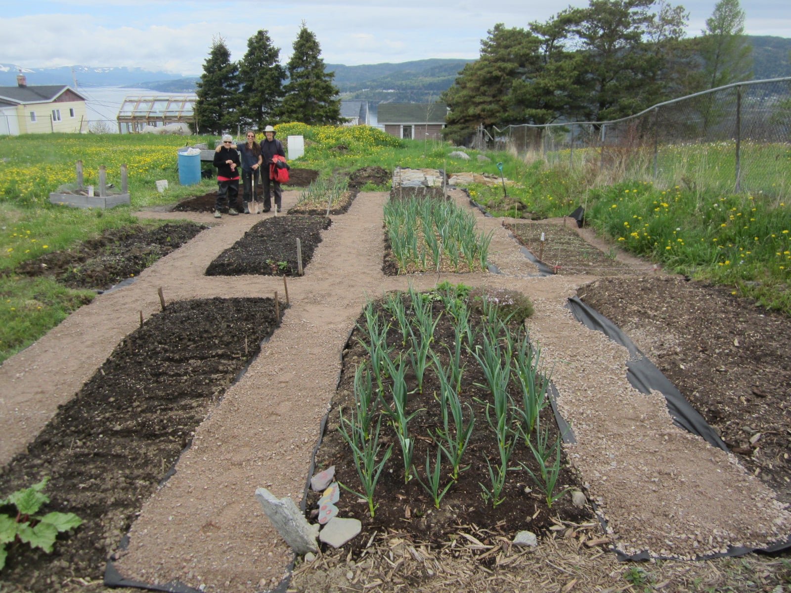 Join us on Saturday at the Heights Community Garden to help prepare for the upcoming gardening season! We'll tidy up the garden, sift compost, and have a chat with fellow gardeners.

May 4th, 10-11am. RSVP to info@wecnl.ca or just drop by! Wear garde