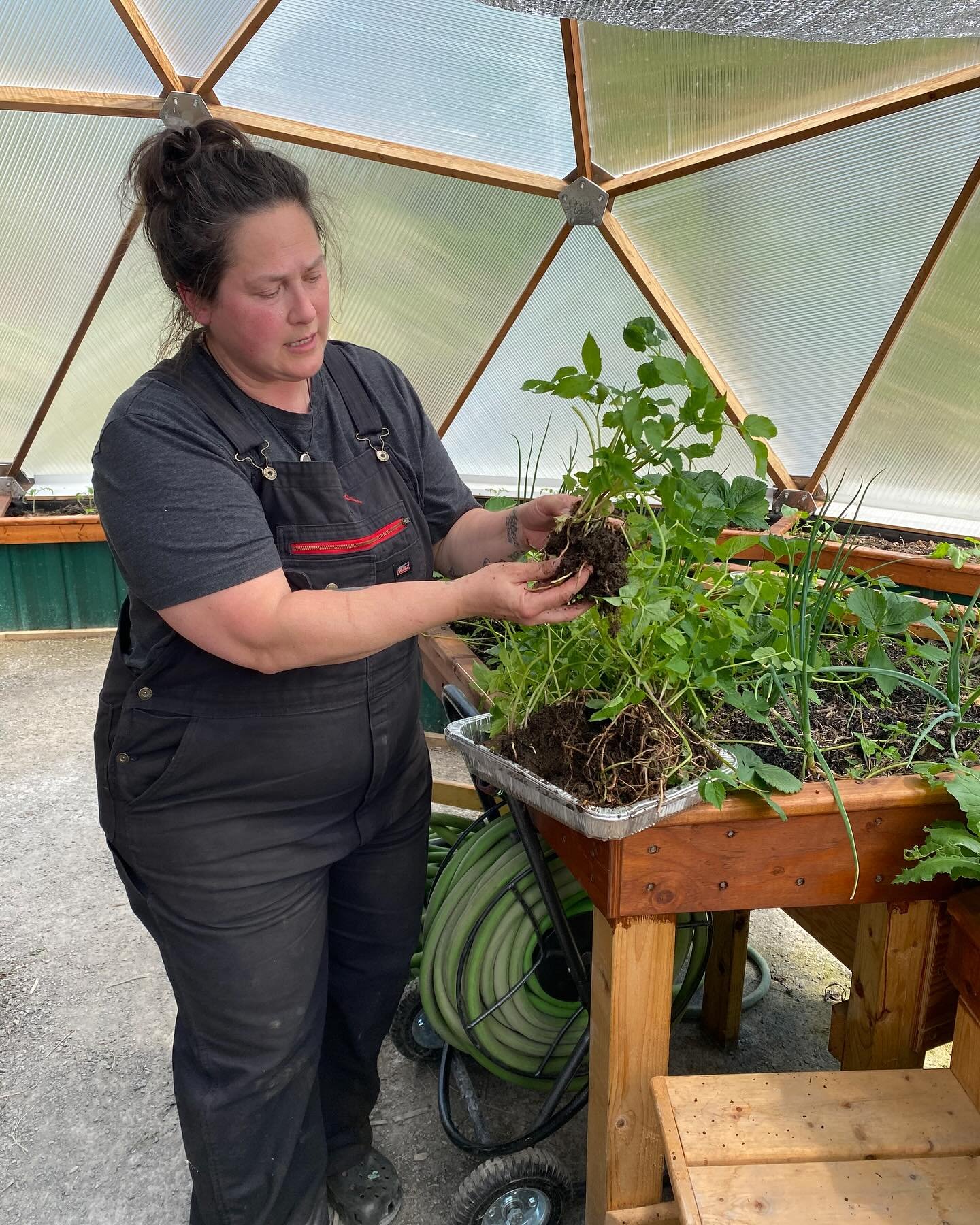 We had such a wonderfully mind shifting workshop recently with permaculture expert Lee Wall! 

Lee encouraged us to think about our garden weeds in a much more holistic way, inviting us to better understand what role they play in our gardens rather t
