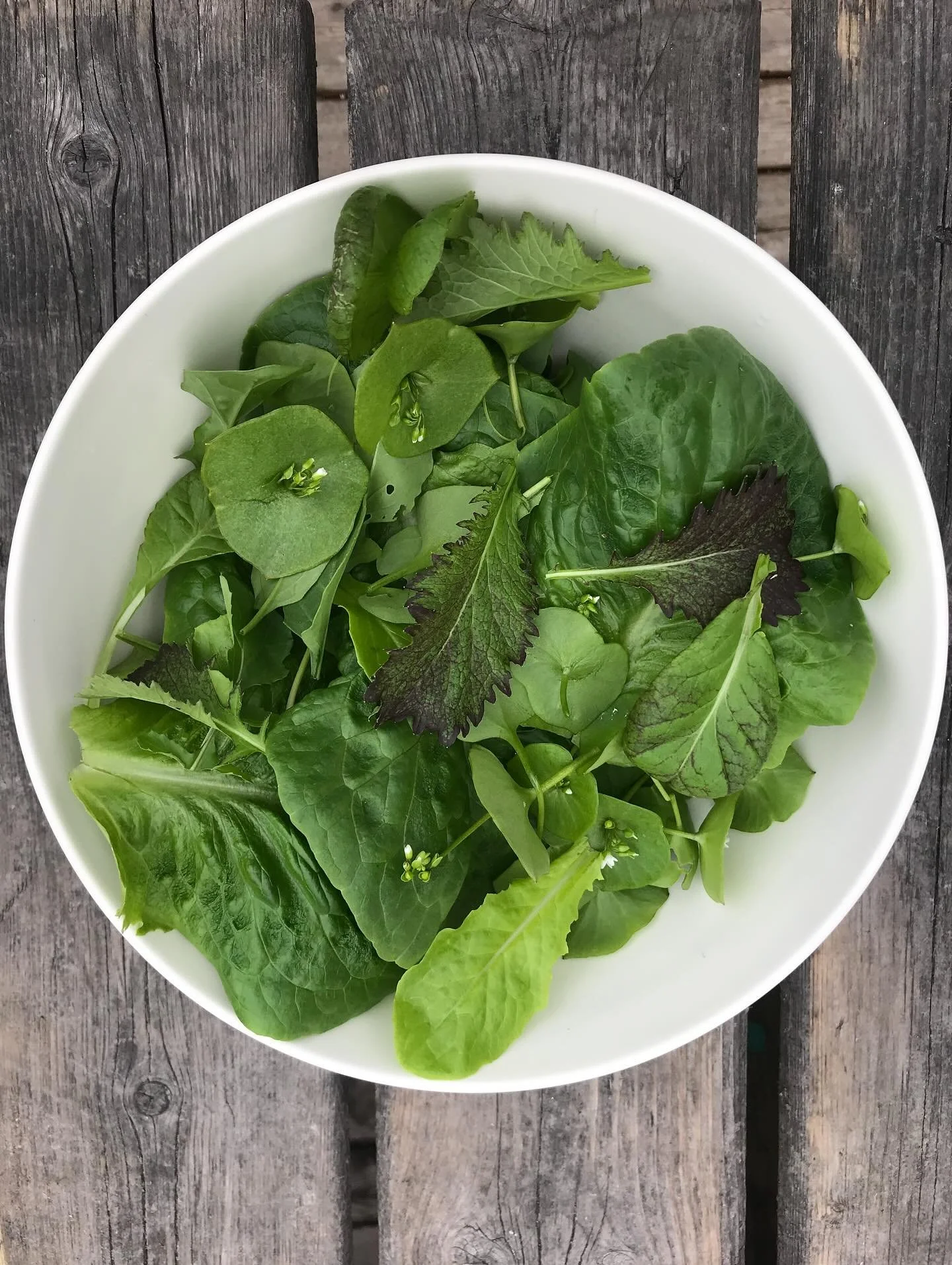 Join us for the third installment of our permaculture gardening series, in partnership with Lee Wall, permaculture expert and certified master organic gardener. 

This time we&rsquo;ll talk all about how to take care of your garden in the fall. Lee w