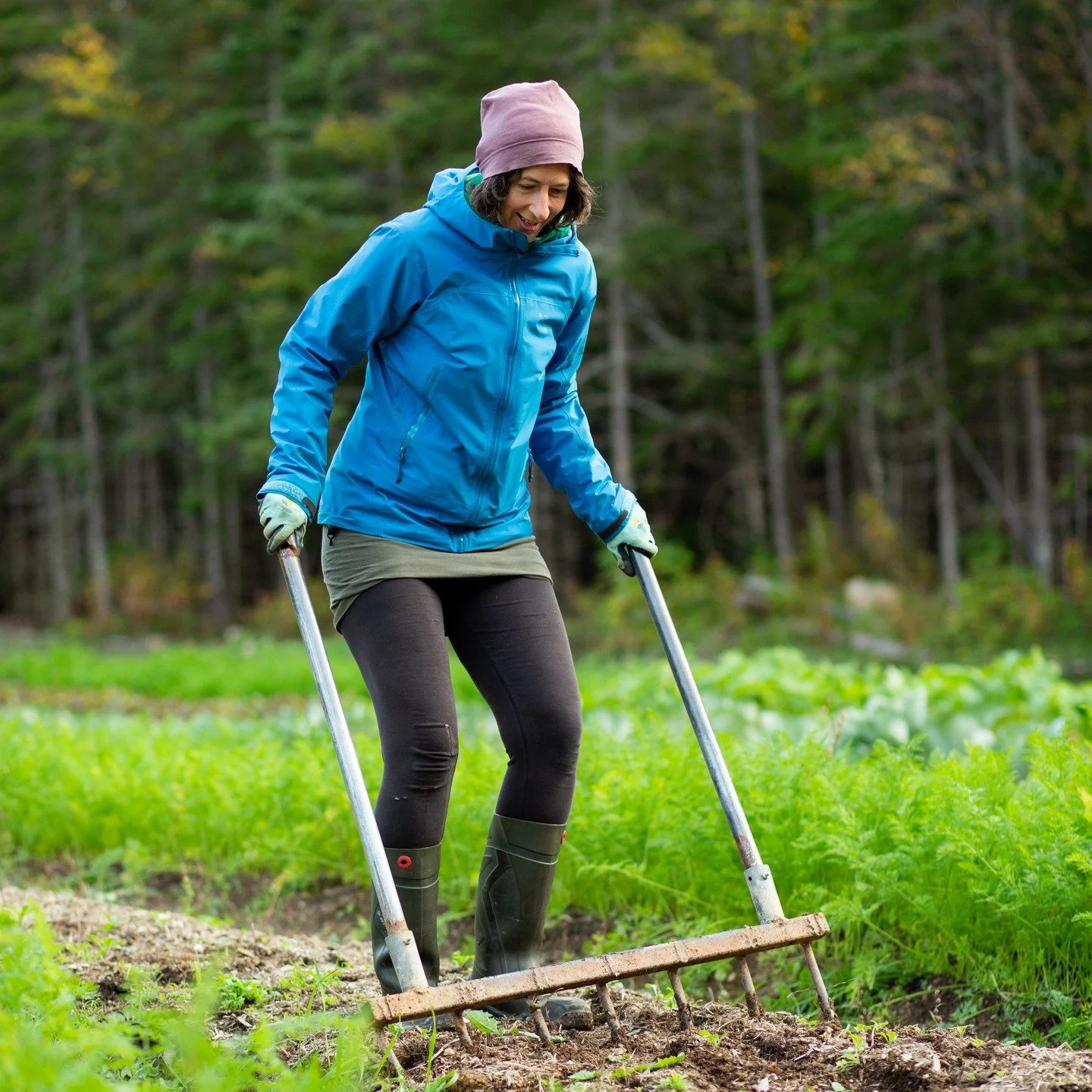 Last call!

Join us for the next workshop in our permaculture series with Lee Wall, master organic gardener! 

Learn all about how to put your garden to bed for the season including tips on how to do final harvests of produce and seeds, plus pruning 