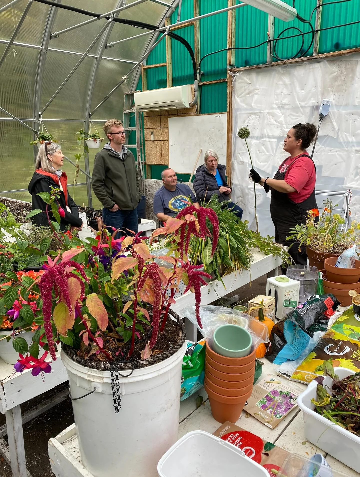 A little delayed but still worth sharing! We had a bright and colourful workshop with Lee Wall in early October to wrap up our permaculture series for the season. 
We learned all about preparing your garden for the cold season which will ensure your
