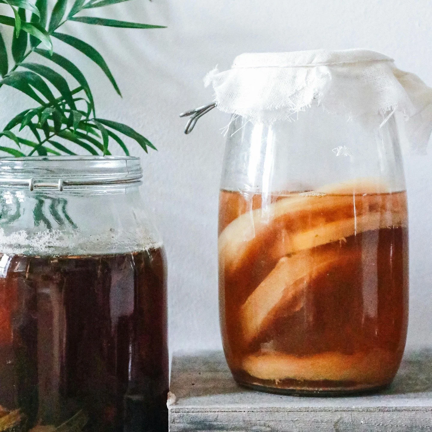 Would you like to enjoy some delicious homemade bubbly drinks this holiday season? 

Join us this weekend for the second event in our Fermenting Workshop Series to learn how!

Workshop happens on Saturday, November 29th at 4:00 pm. Location TBA.

Par