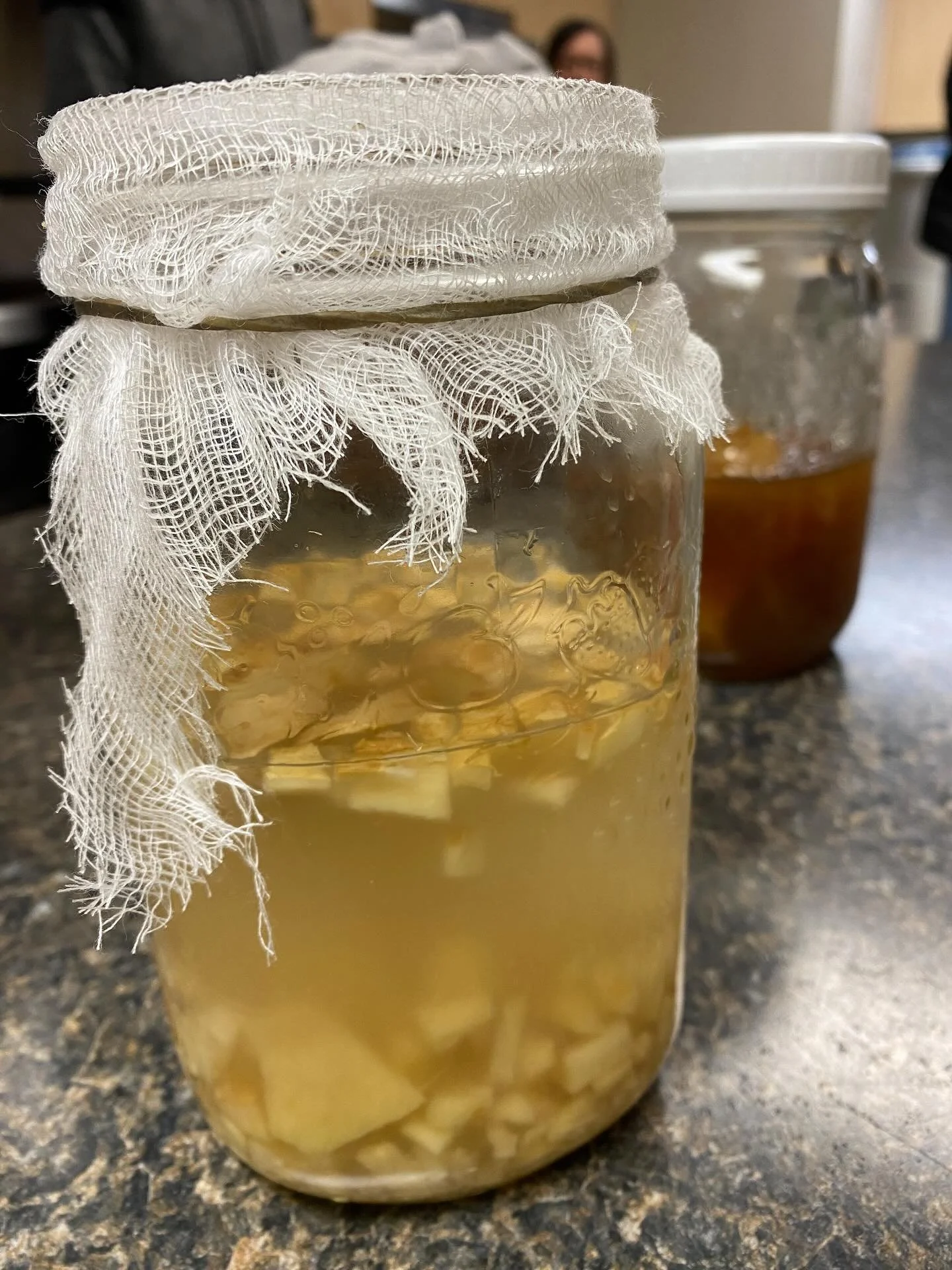 We had another group of happy fermenters this past weekend!

Our fermentation series continued with a fun fermented drinks workshop, and we got to make and taste homemade kombucha and ginger soda. Perfect for those holiday mocktails! 

Stay tuned for
