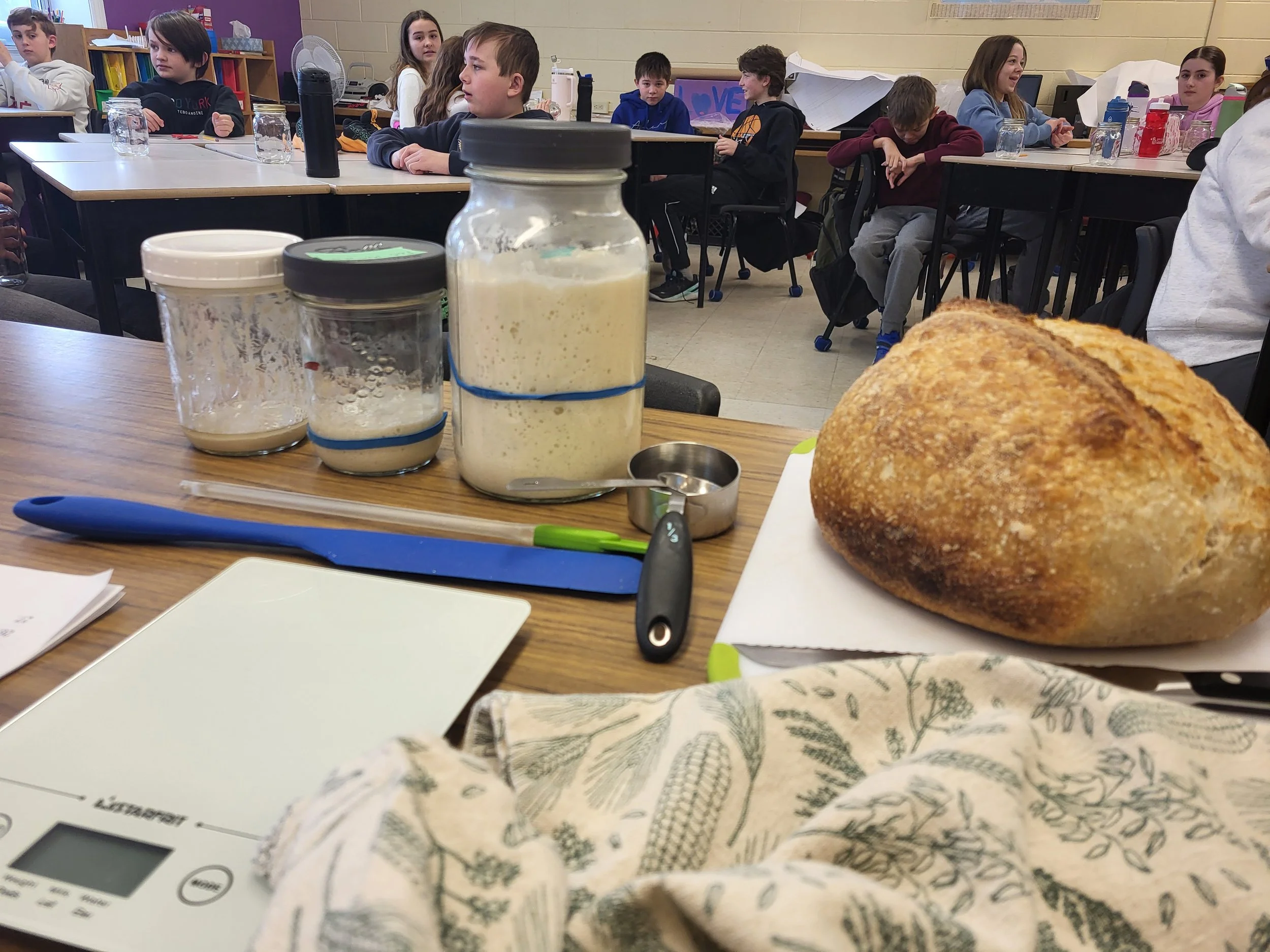 Sourdough Bread Workshop