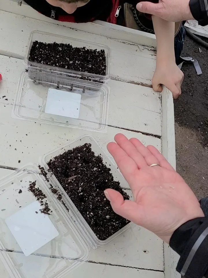 Do you want to get your hands in the dirt this weekend?

It&rsquo;s still winter out there but inside our greenhouses it&rsquo;s starting to slowly warm up as the days brighten! In celebration of the first beginnings of the gardening season, we&rsquo