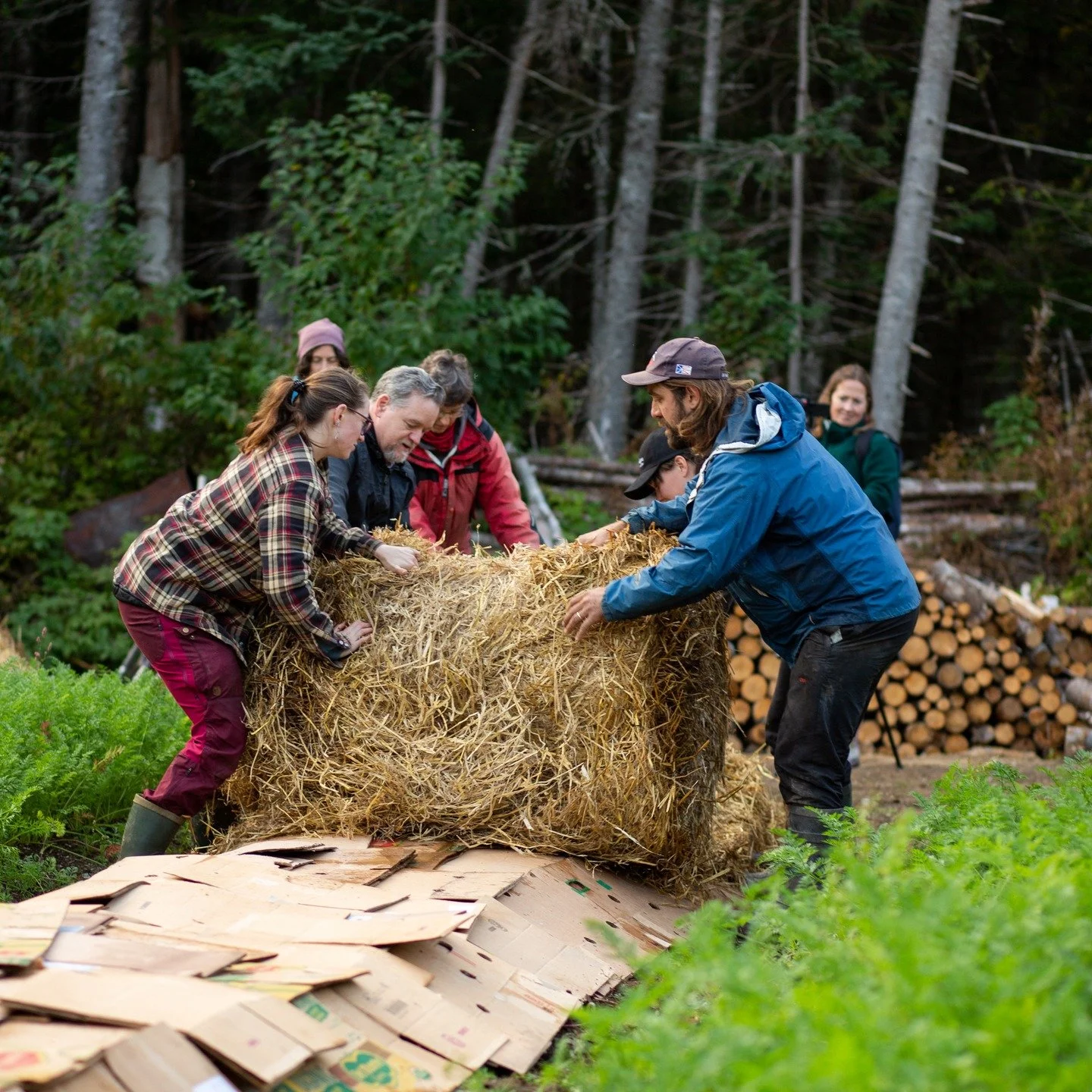Join us for a workshop all about creating a new garden from scratch, including how to build and improve on your current garden. It happens on Thursday, April 2 at 6:00 pm.

Creating a successful garden starts with the right conditions. The fundamenta