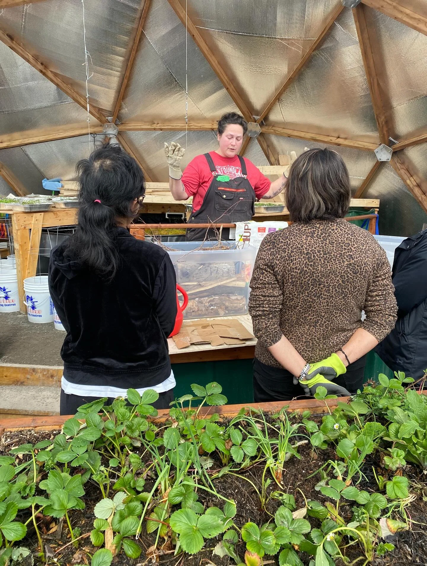 More gardening fun at the dome today, with the second group of new Canadians. And it was so much warmer too! We all appreciated the taste of summer time temps with the beautiful sun out today. 

Participants were treated to a hands-on demonstration a