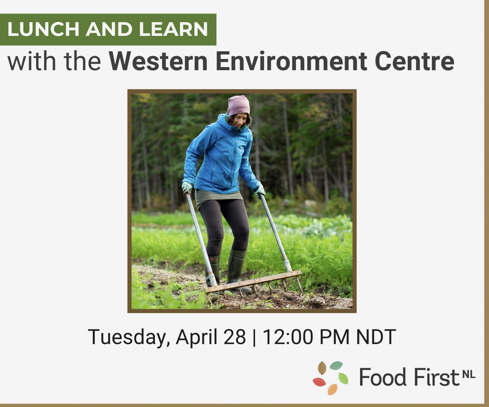 Food First Lunch and Learn with WEC