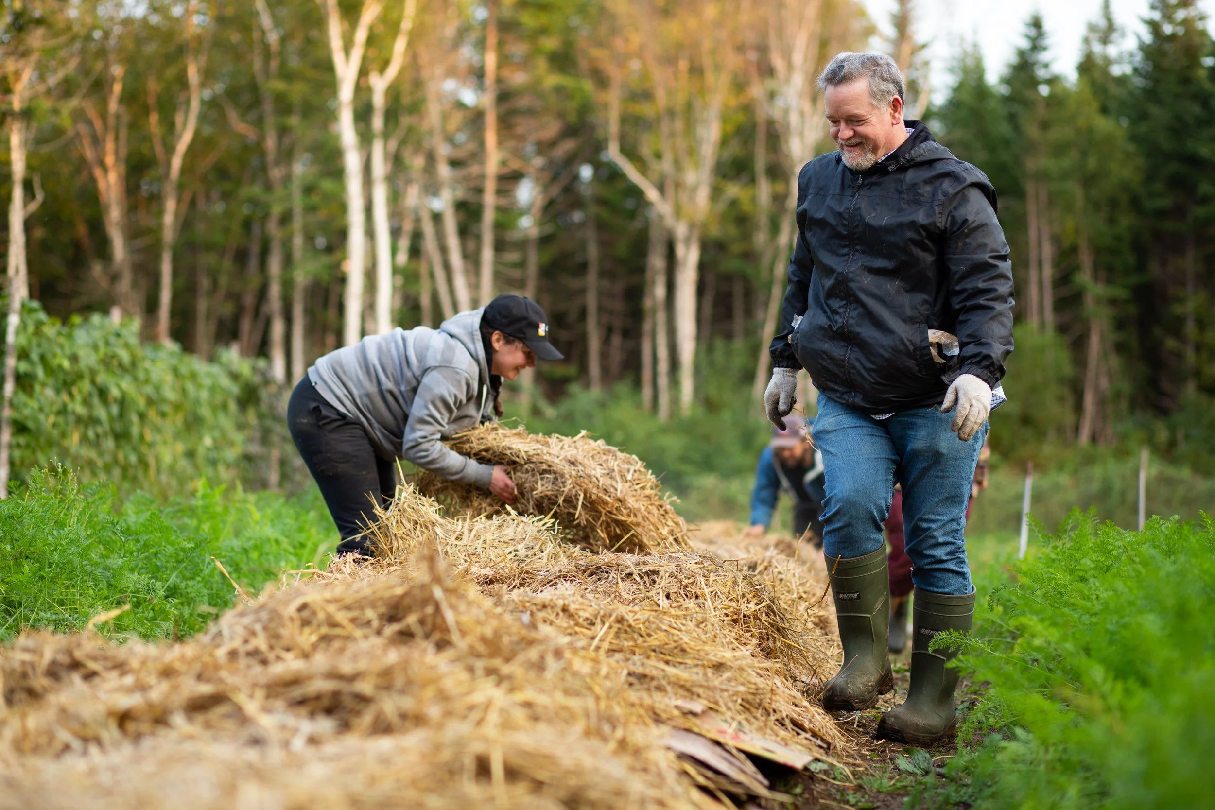 Soil Food Web Series: Mulching