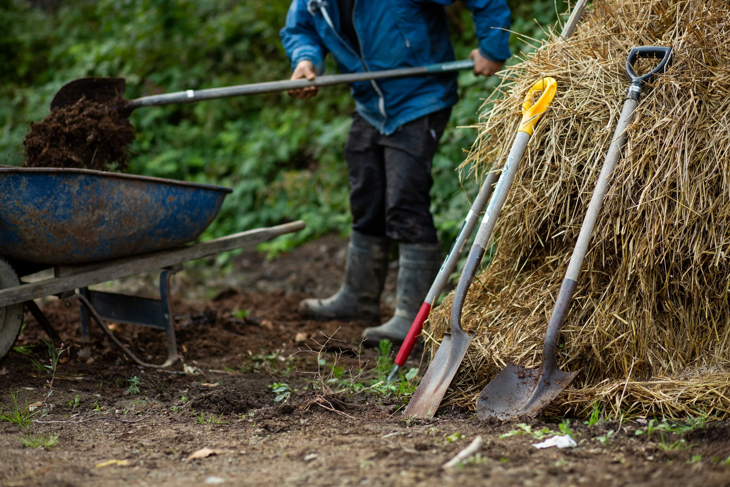 Soil Food Web Series: Magic of Mulching (Rescheduled)