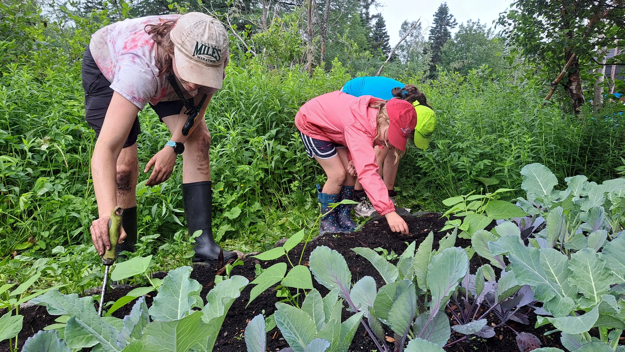 Soil Food Web Series: Weeds