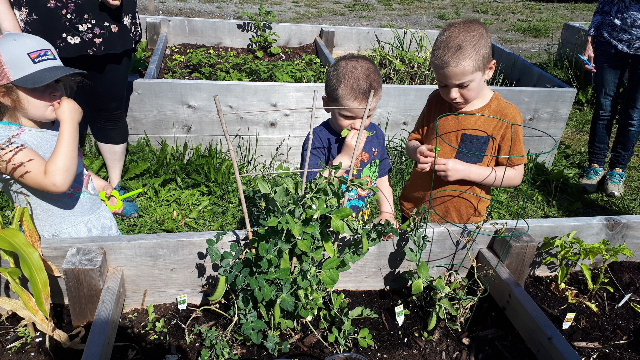 Caribou Road Community Garden Party