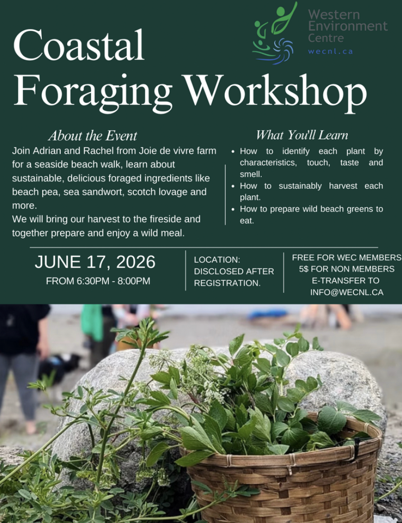 Coastal Foraging Workshop