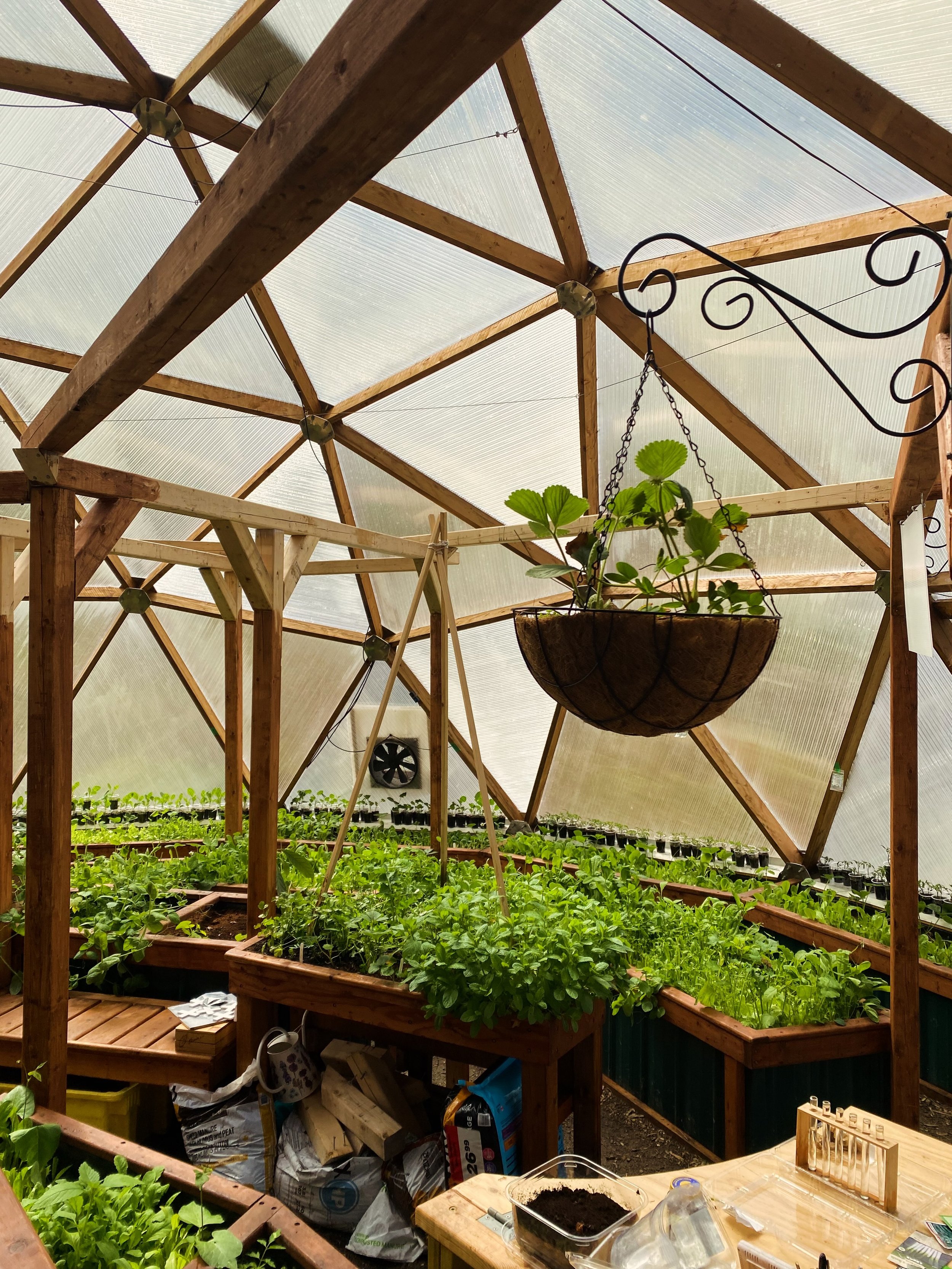 Come spend time with us at the lovely growing dome tomorrow evening (Wednesday June 3 at 7 pm) for the last workshop in our Soil Food Web series (this was rescheduled from May 20). 

We&rsquo;ll talk about boosting the life in your soil to enhance th