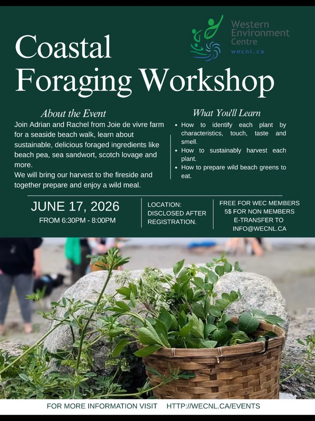 Come coastal foraging with us and the experienced local foragers at Joie de Vivre!

We&rsquo;re excited to partner on this fun and interactive workshop that will help you safely identify some very tasty edibles that are found on many Newfoundland bea