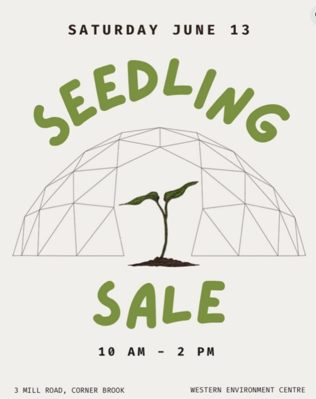 Seedling Sale!