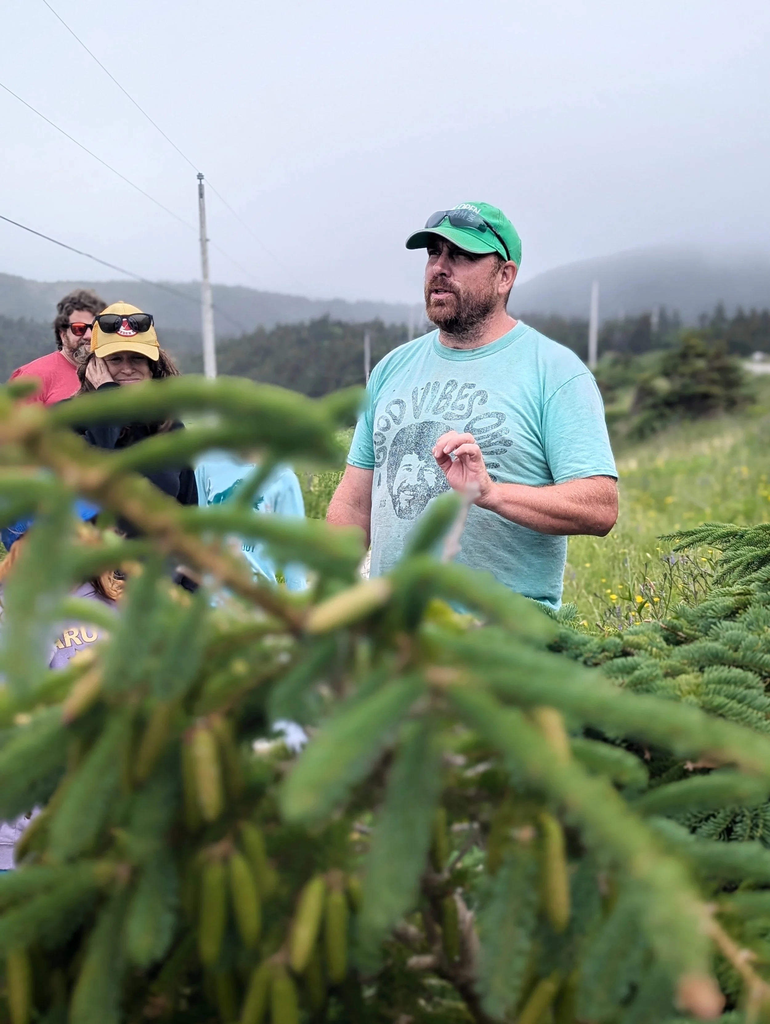 Coastal Foraging #2