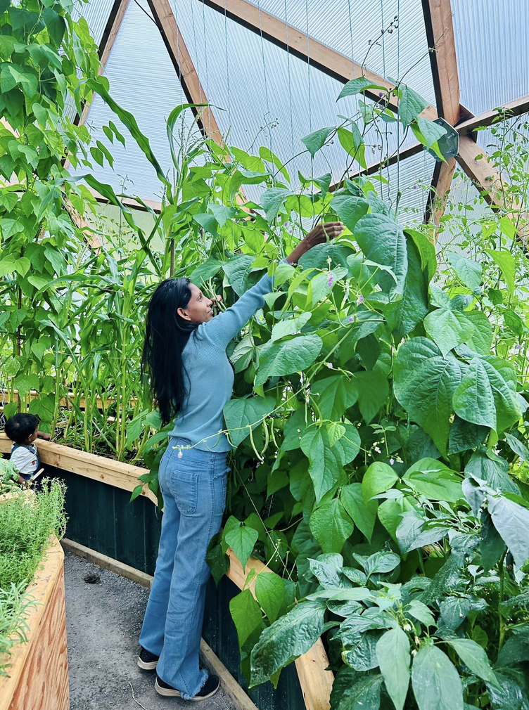 Intuitive Pruning Workshop