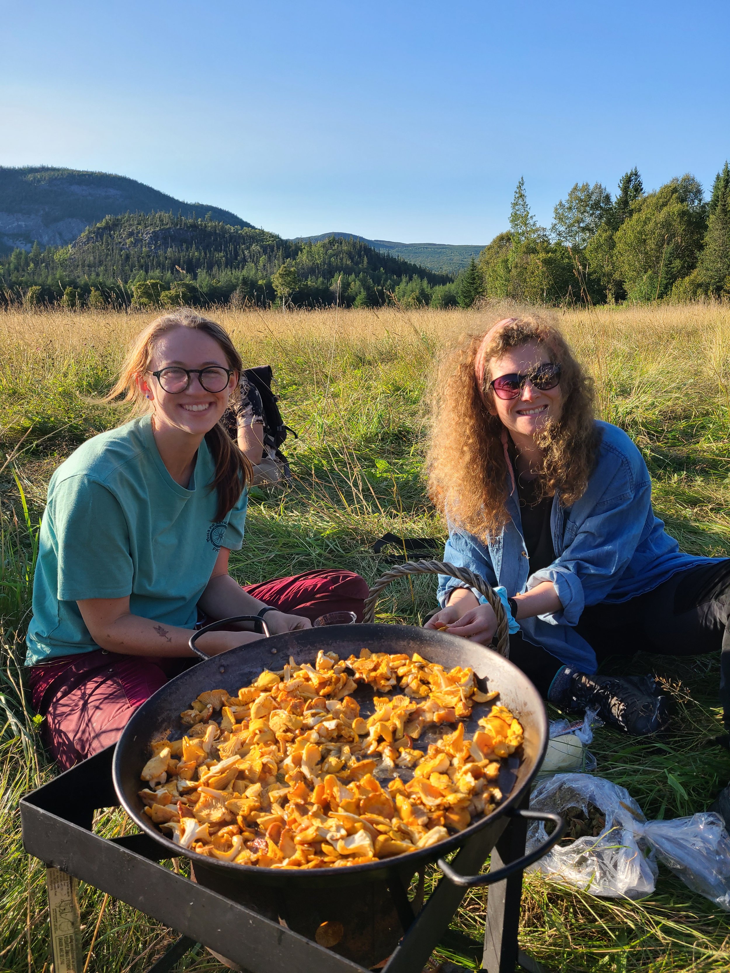 Mushroom Foraging Walk #2