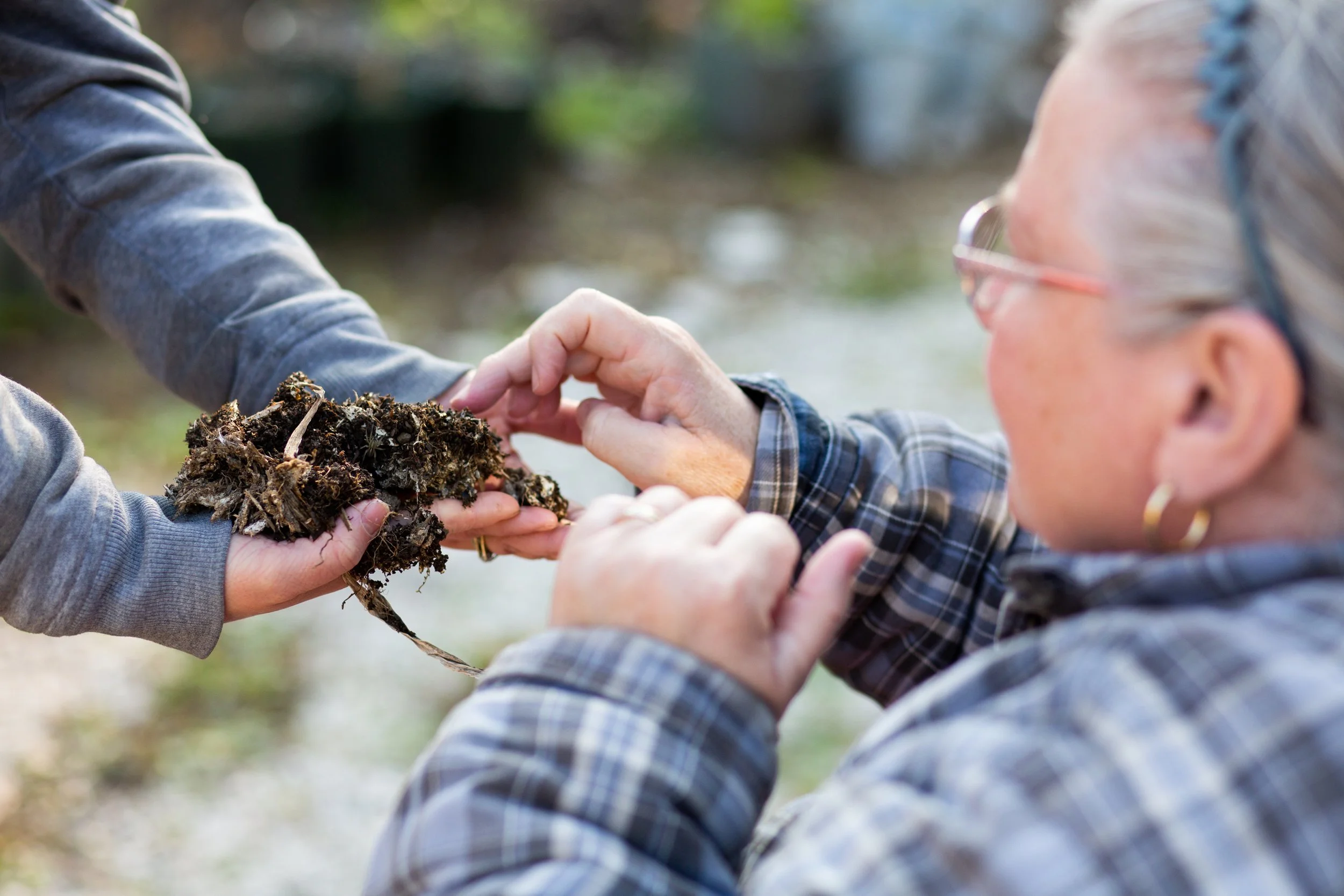 Soil Clinic for WEC Members