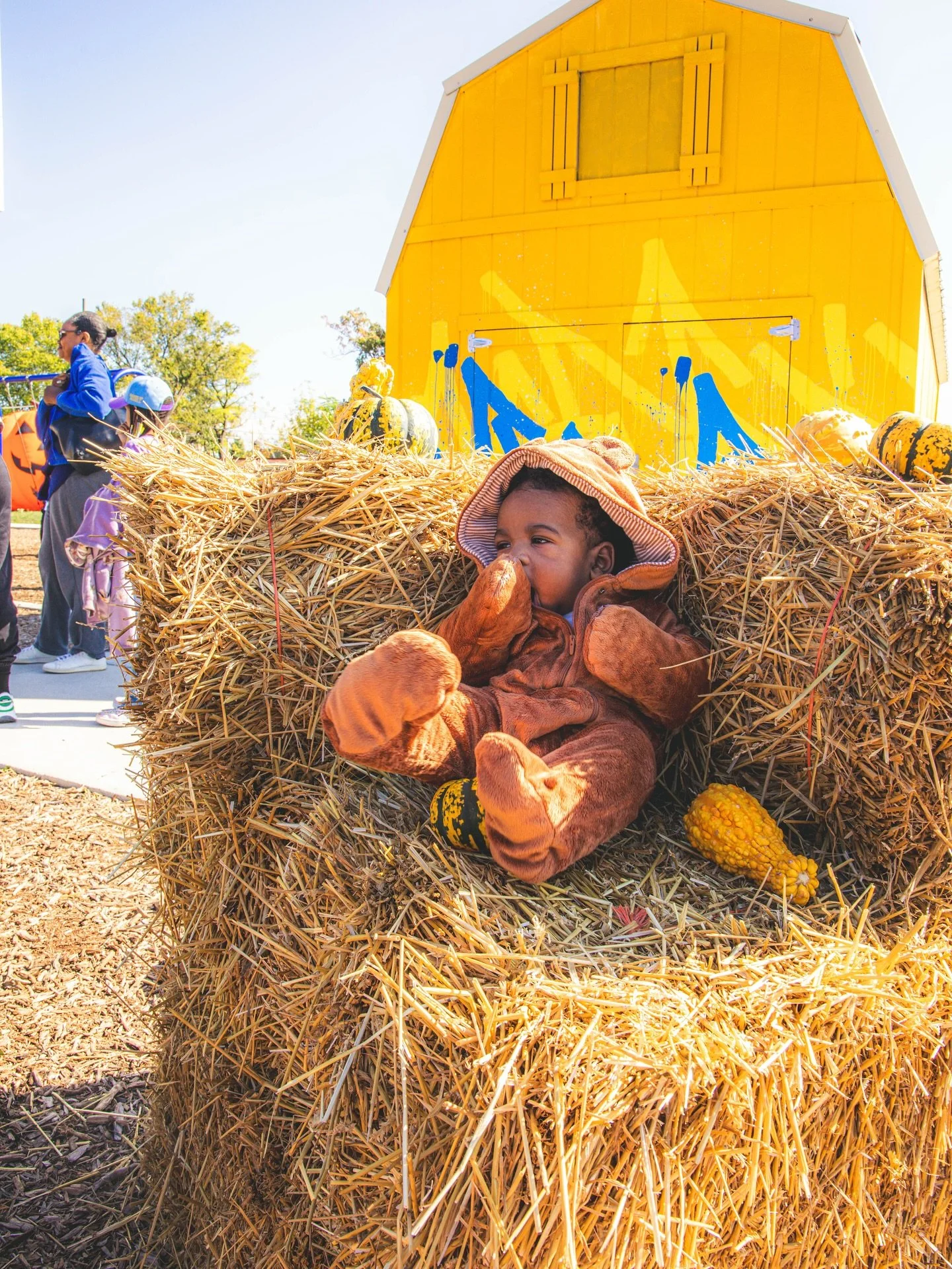 We couldn&rsquo;t have asked for a better Fall day for DRIBBLING &amp; DONUTS!

A time was had - face painting, a petting zoo, pony rides, donuts, basketball, and a 15&rsquo; tall pumpkin!

Thanks to our awesome volunteers from Cranbrook Field Hockey