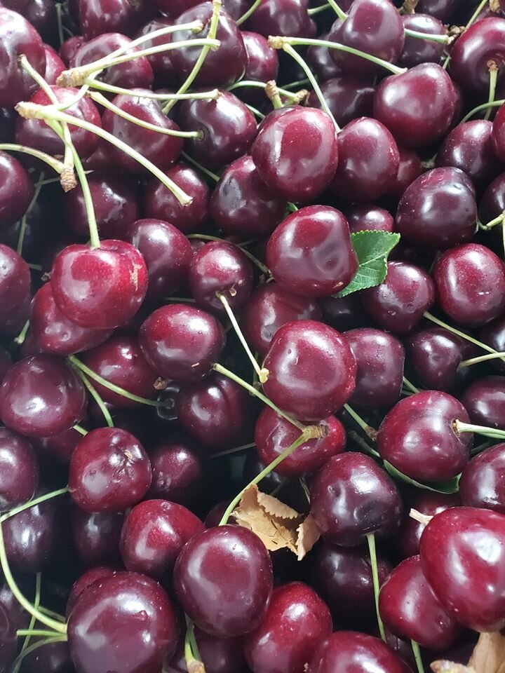 Cherries.jpg