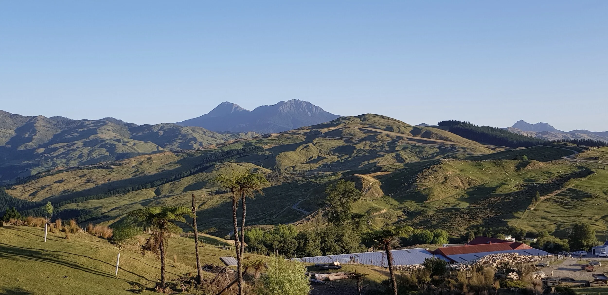 The view from Leigh’s bedroom at Puketoro, with the iconic Mount Hikurangi in the background.