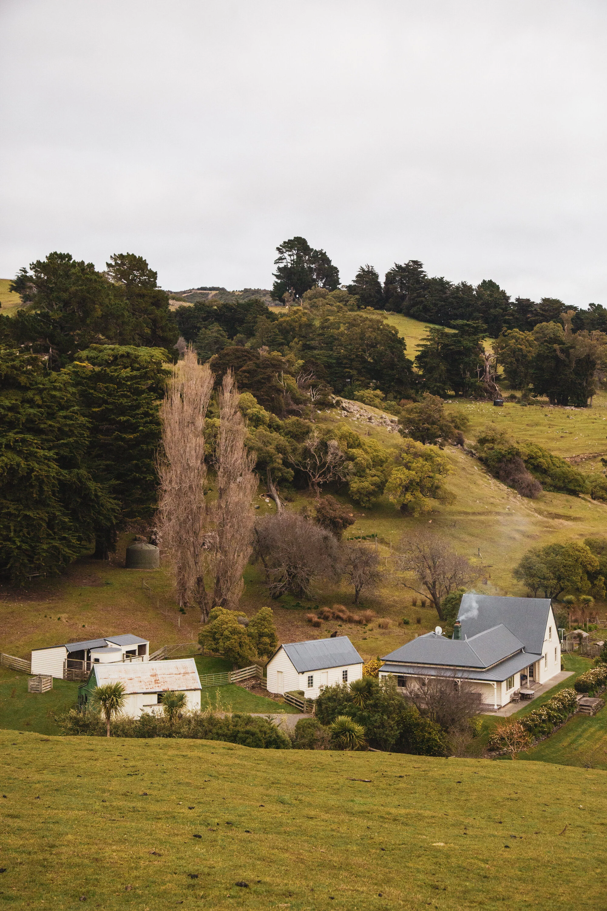 Looking down from the woolshed, the original farmhouse is in what Annabel calls “the heart of the farm”.